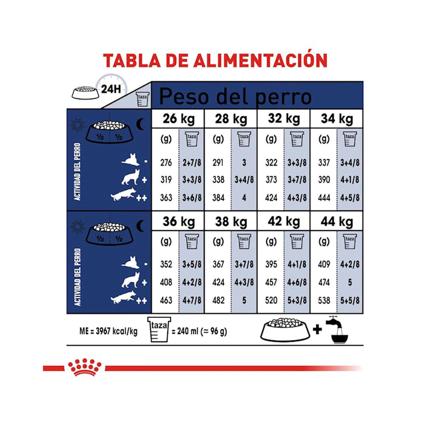 Royal Canin alimento seco Large Adult para Perro 7.72kg | G.Valkyria - imagen 5