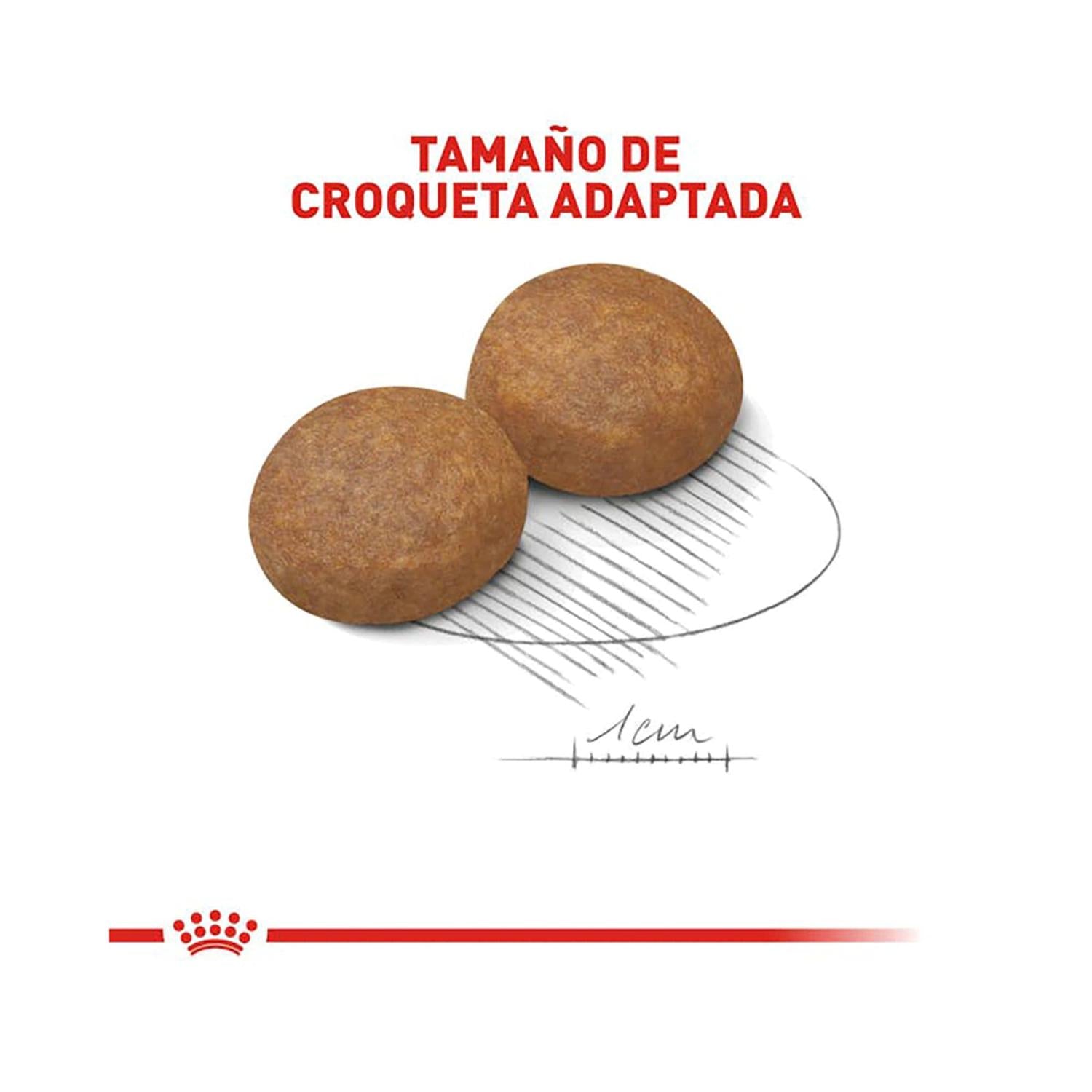 Royal Canin Alimento Seco Medium Adult Perro 13.61kg | G.Valkyria - imagen 2