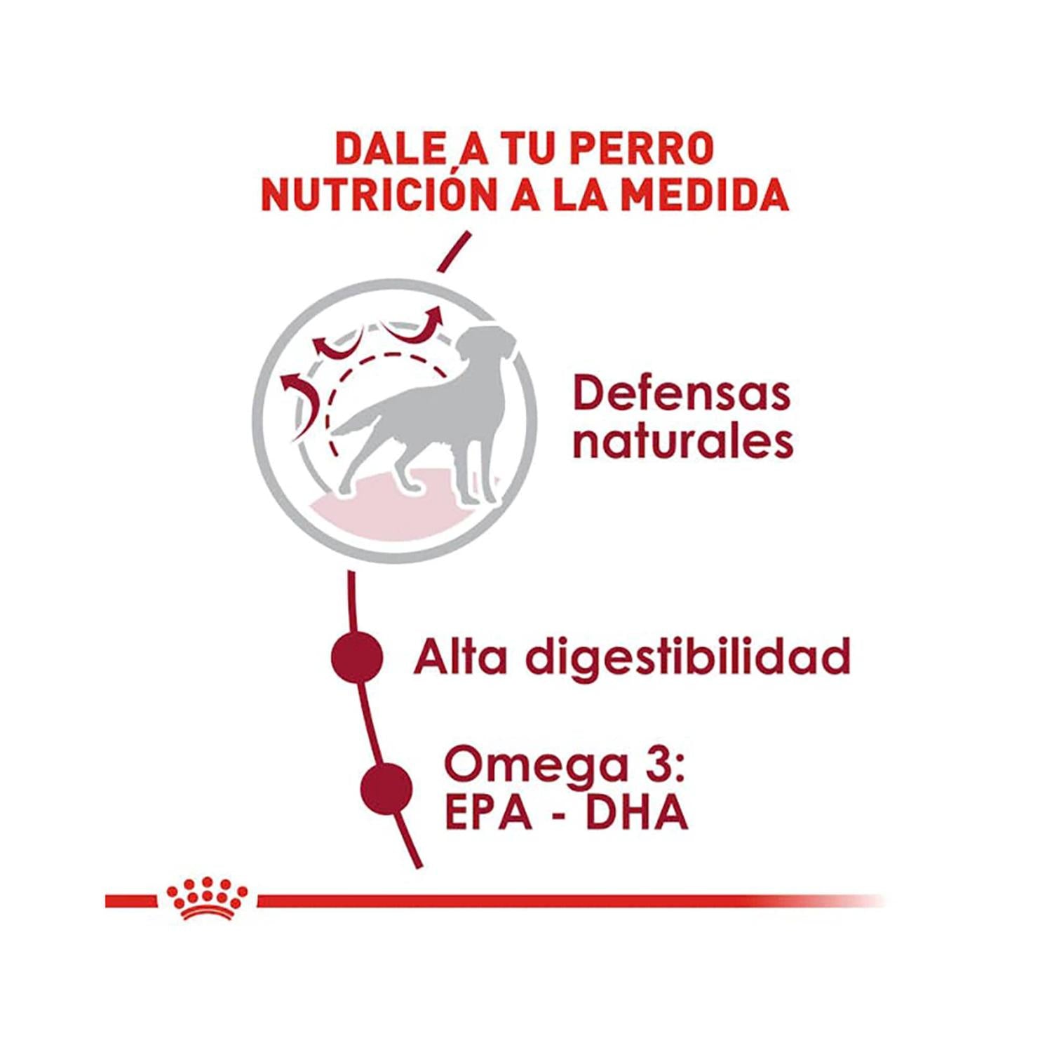 Royal Canin Alimento Seco Medium Adult Perro 13.61kg | G.Valkyria - imagen 3