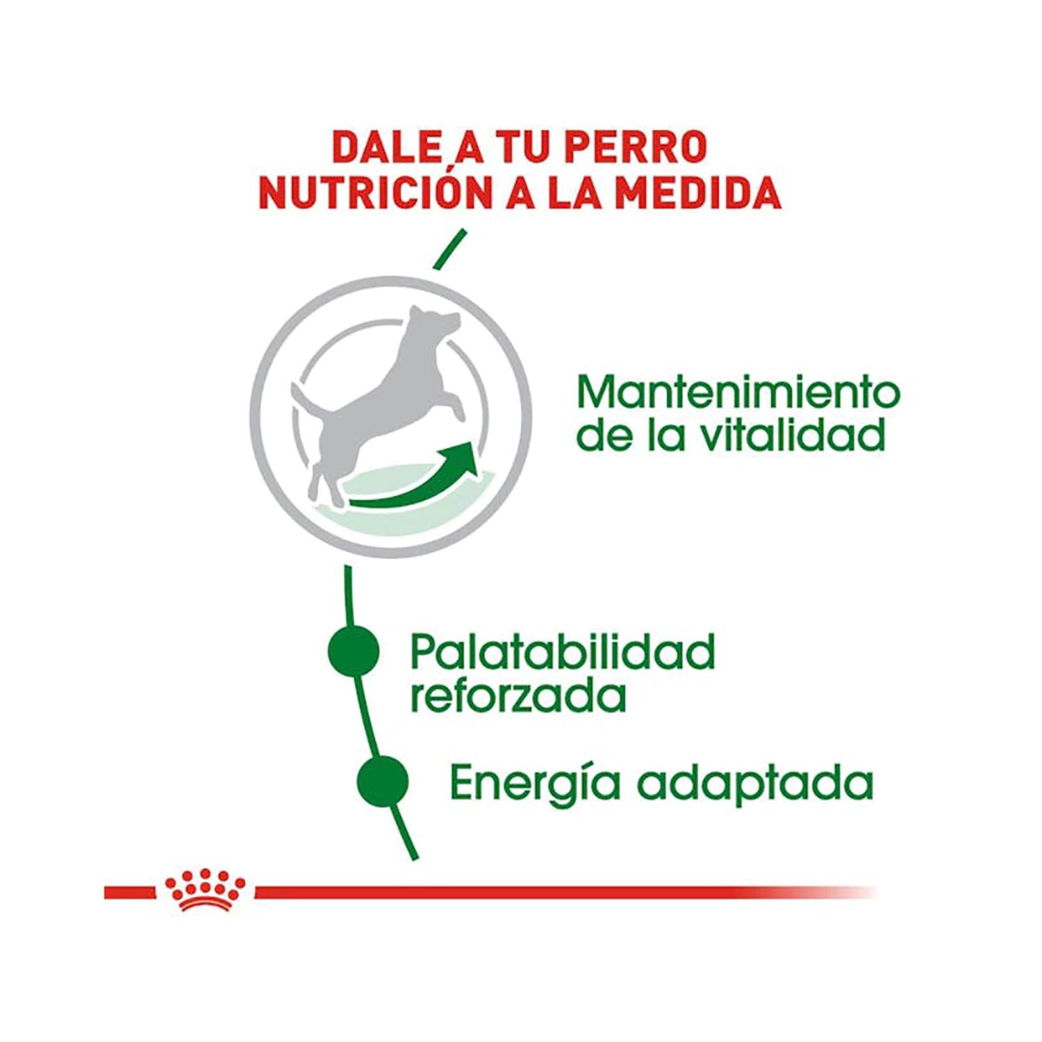 Royal Canin Alimento Seco Small 8+ Aging Adult Perro 1.1kg | G.Valkyria - imagen 2
