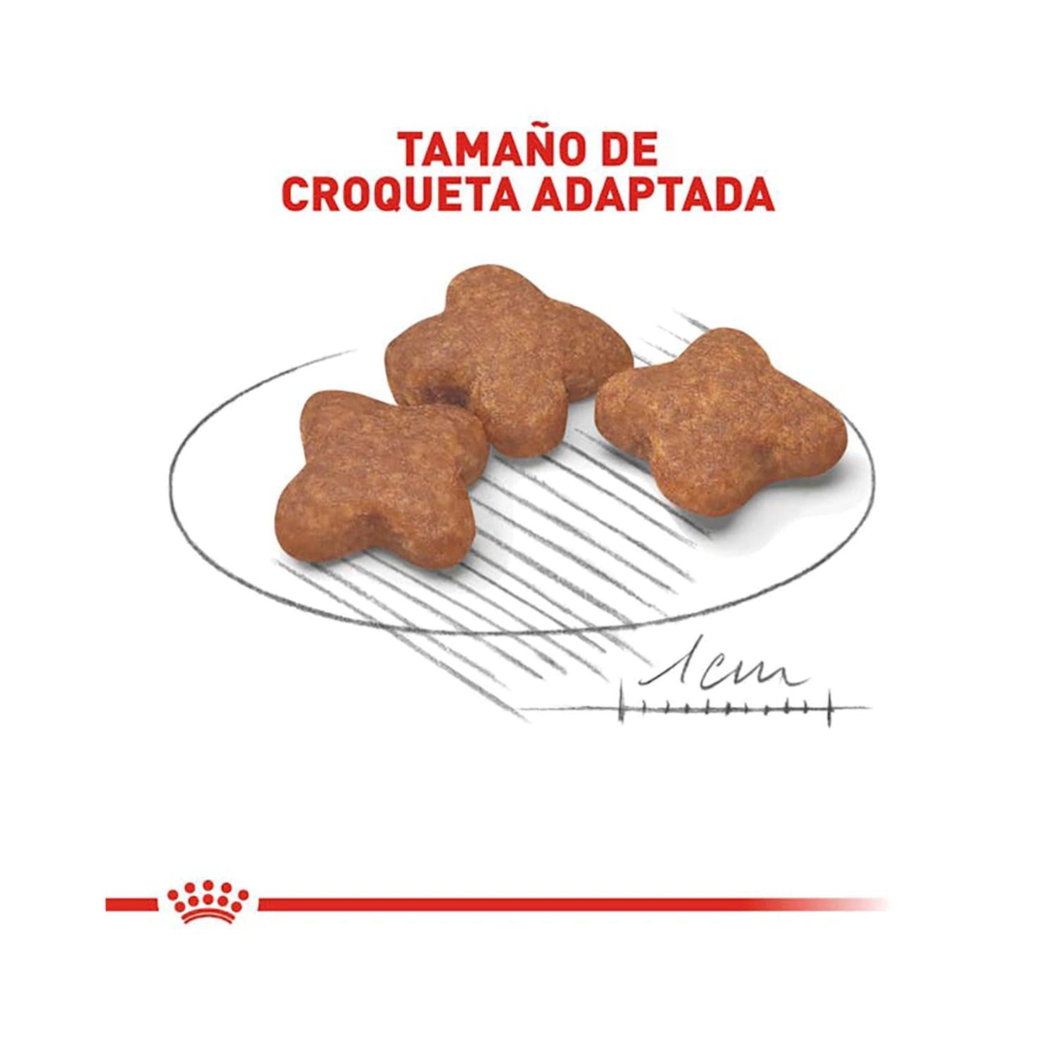 Royal Canin Alimento Seco Small 8+ Aging Adult Perro 1.1kg | G.Valkyria - imagen 3