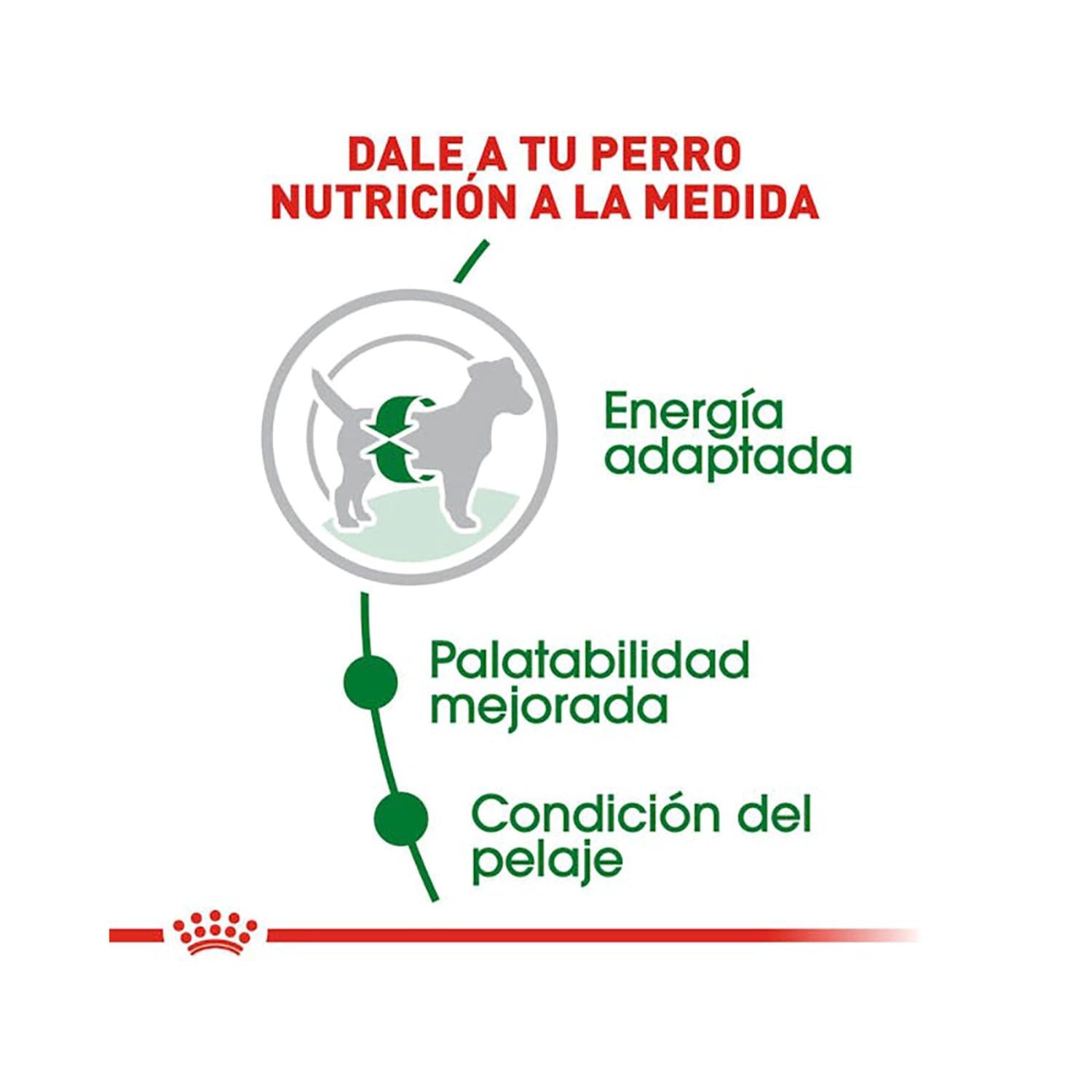 Royal Canin Alimento Seco Small Adult Perro 2kg | G.Valkyria - imagen 2
