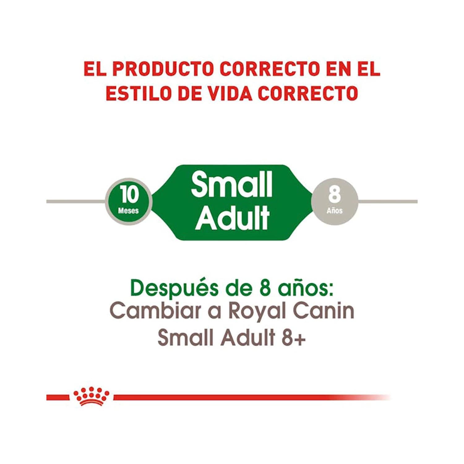 Royal Canin Alimento Seco Small Adult Perro 2kg | G.Valkyria - imagen 3