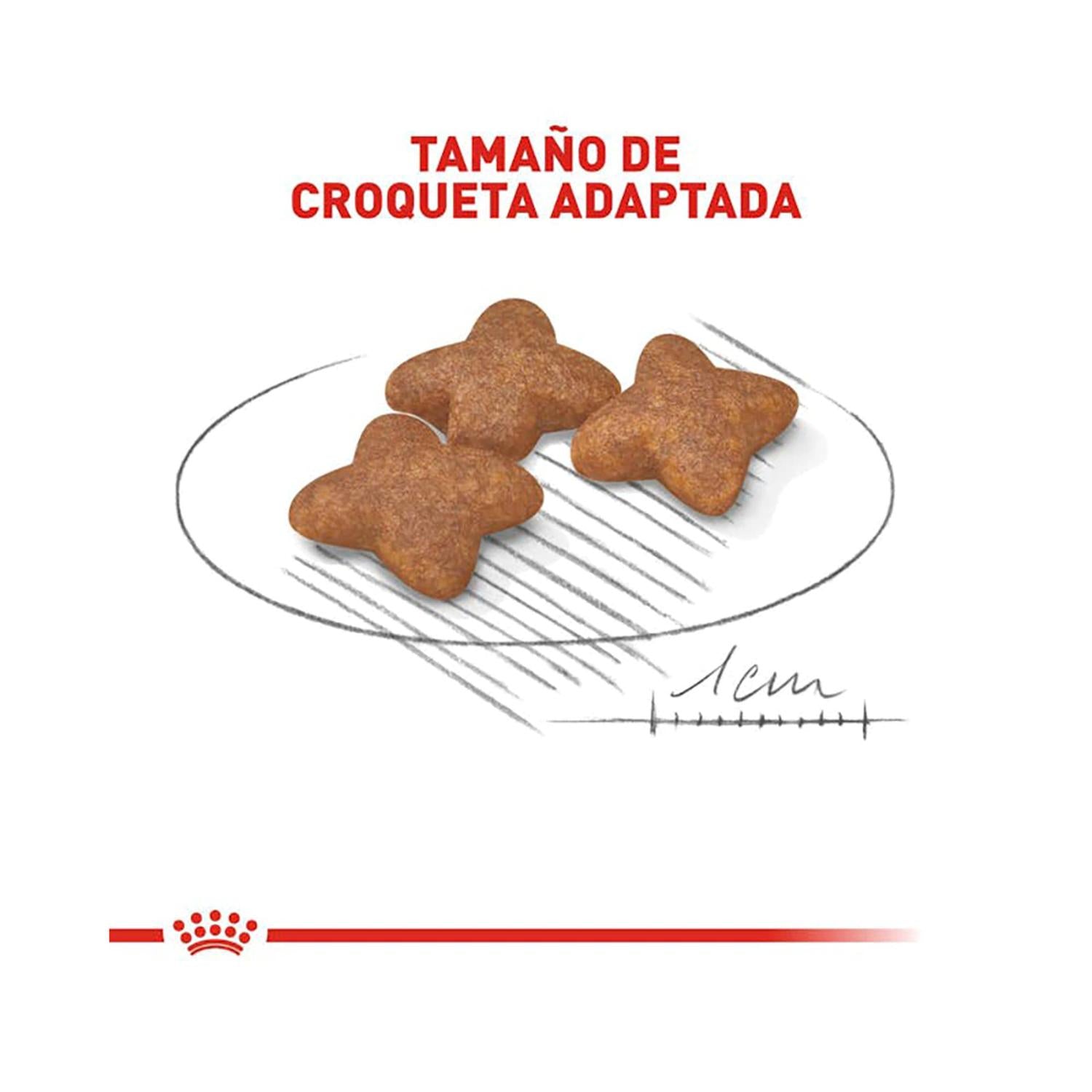 Royal Canin Alimento Seco Small Adult Perro 2kg | G.Valkyria - imagen 4
