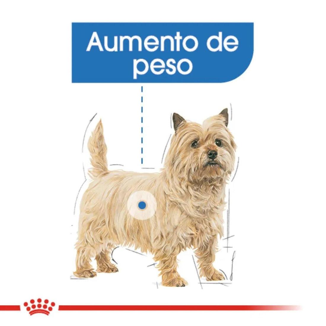 Royal Canin Alimento Seco Small Weight Care Perro 1.1kg | G.Valkyria - imagen 1
