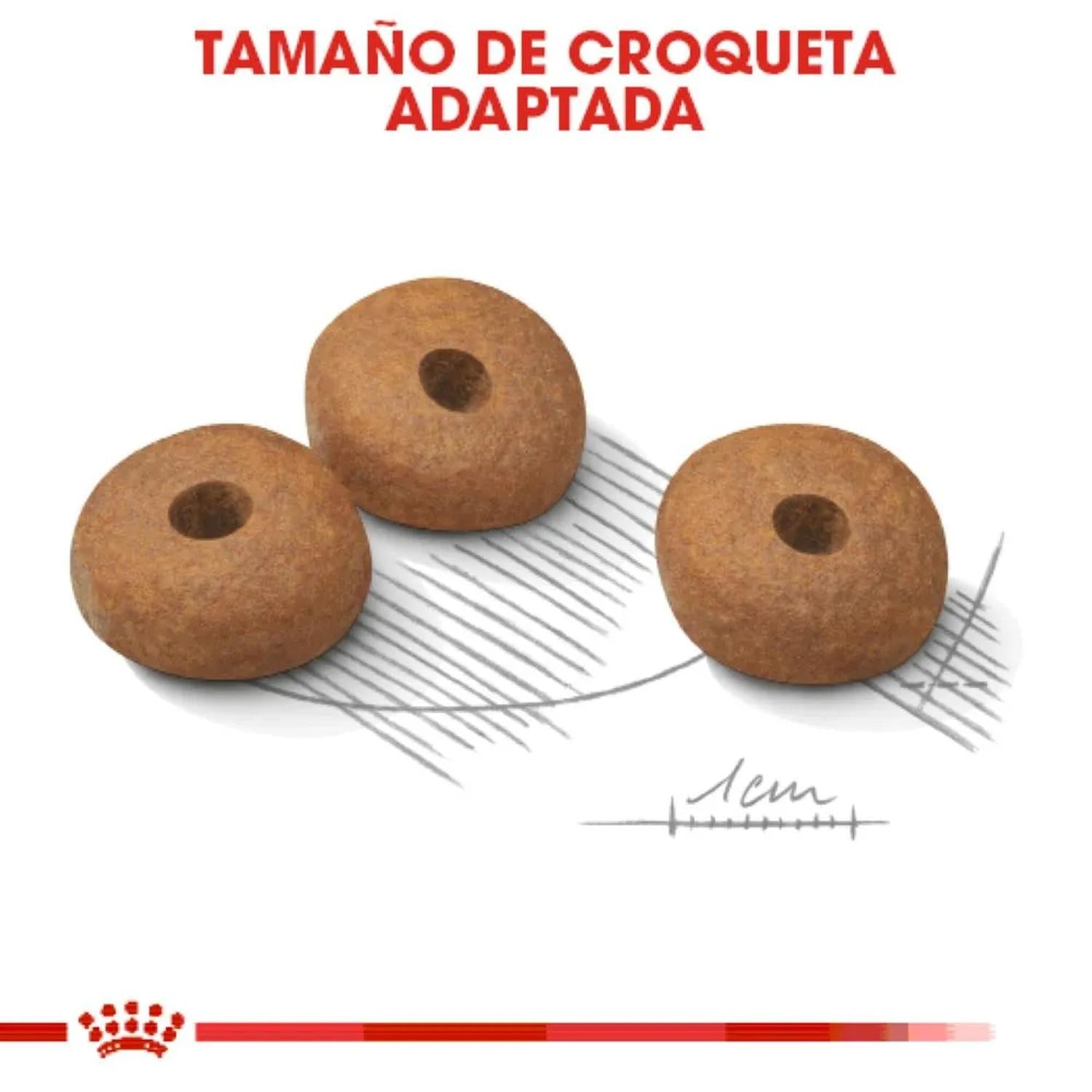 Royal Canin Alimento Seco Small Weight Care Perro 1.1kg | G.Valkyria - imagen 4
