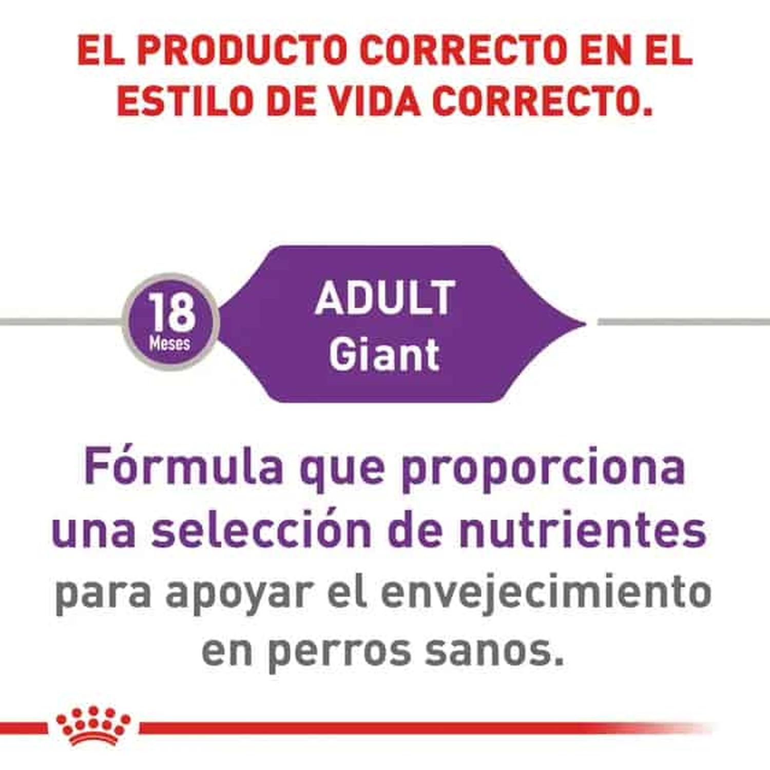 Royal Canin Alimento Size Health Perro Giant Adult 13.61kg | G.Valkyria - imagen 3
