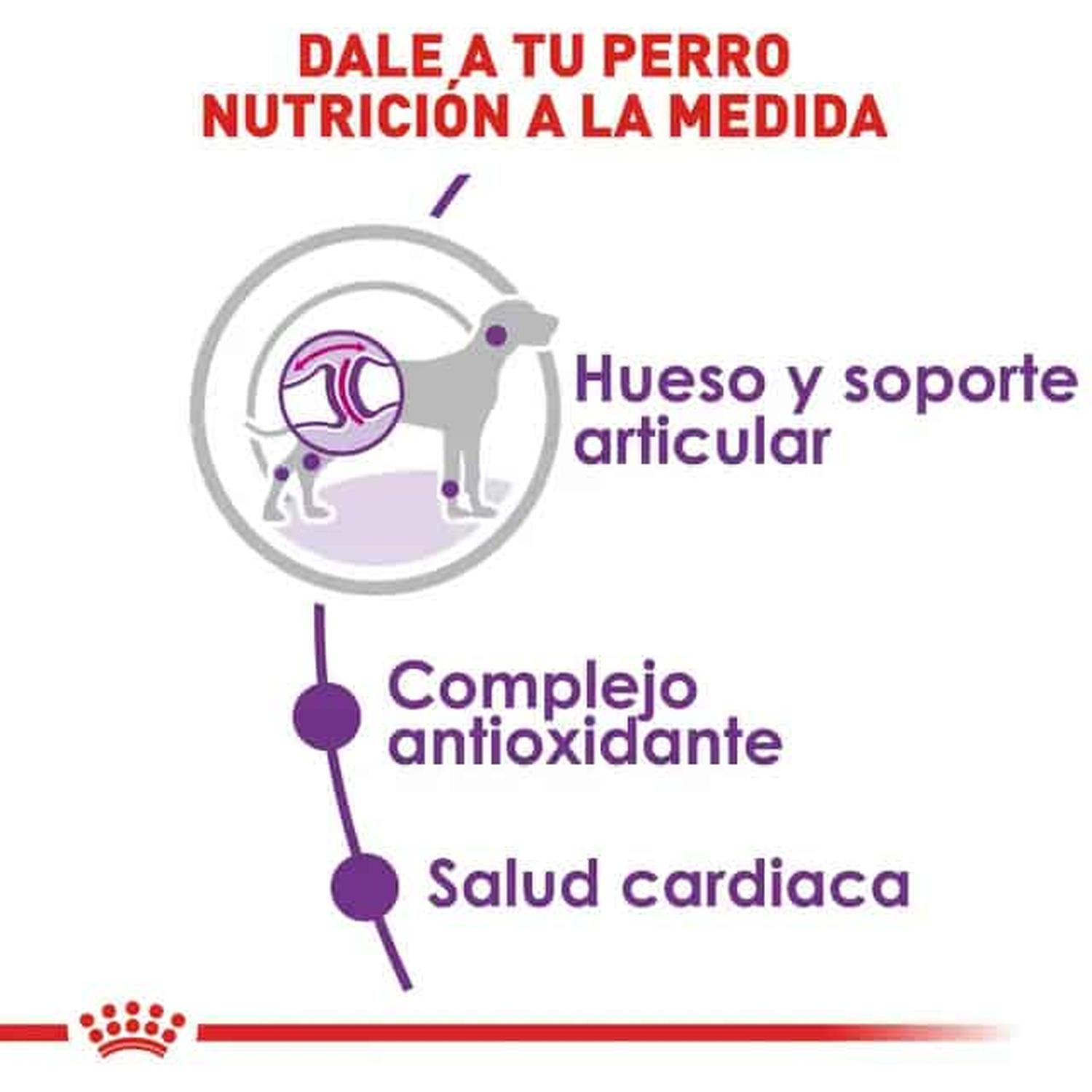 Royal Canin Alimento Size Health Perro Giant Adult 13.61kg | G.Valkyria - imagen 4