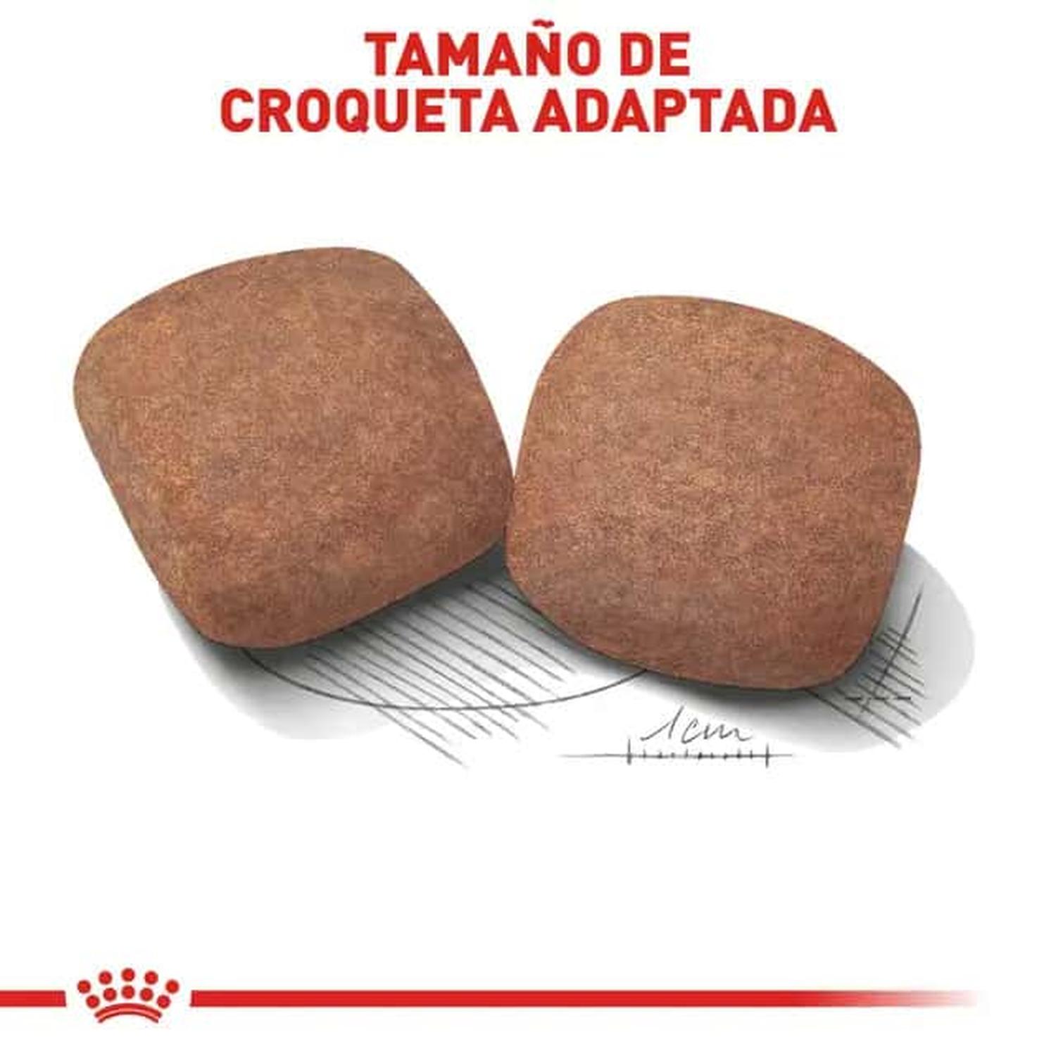 Royal Canin Alimento Size Health Perro Giant Adult 13.61kg | G.Valkyria - imagen 5
