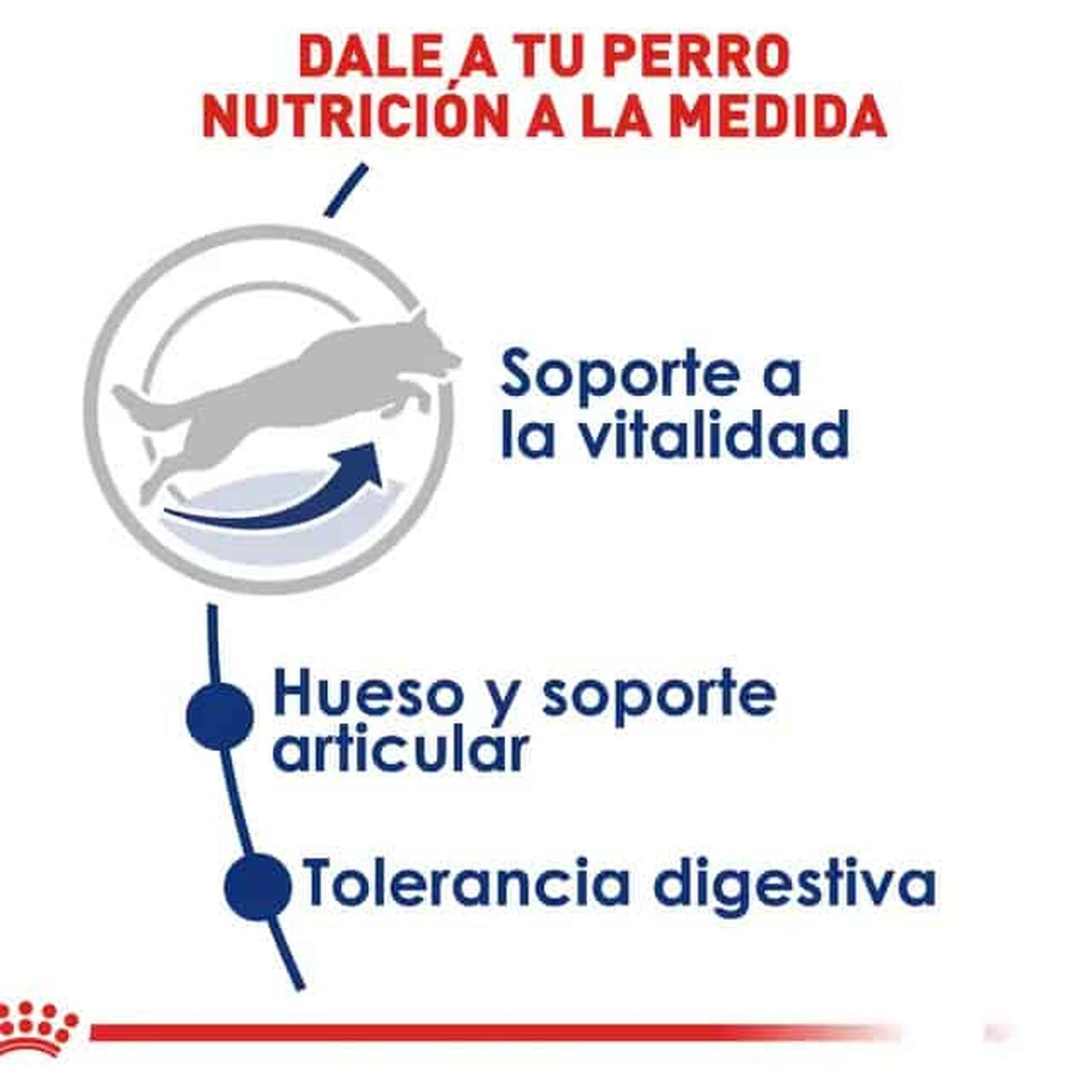Royal Canin Alimento Size Health Perro Large 5+ Aging Adult 13.61kg | G.Valkyria - imagen 3