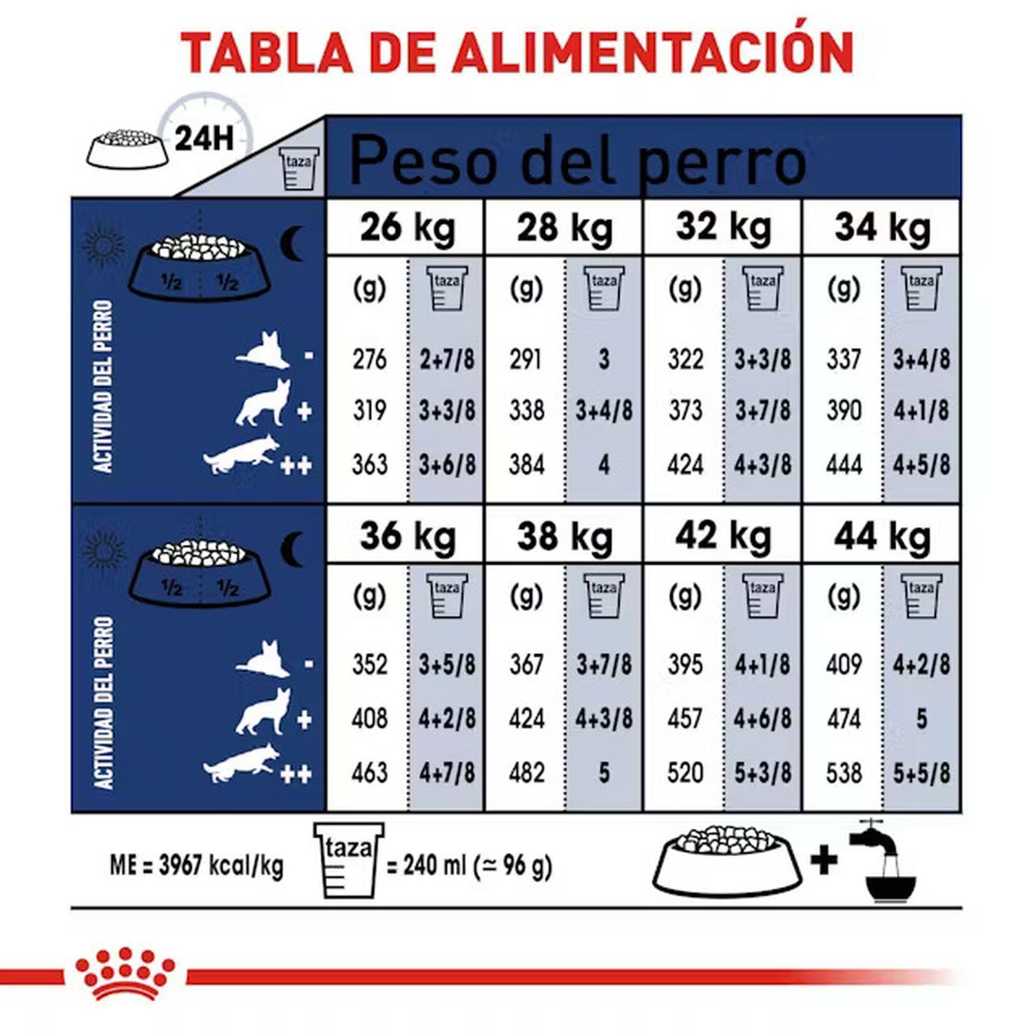 Royal Canin Alimento Size Health Perro Large Adult 13.61kg | G.Valkyria - imagen 3