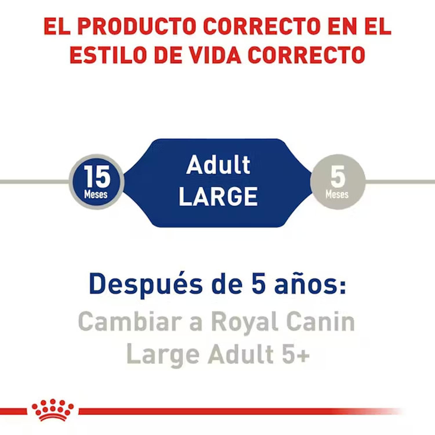 Royal Canin Alimento Size Health Perro Large Adult 13.61kg | G.Valkyria - imagen 5