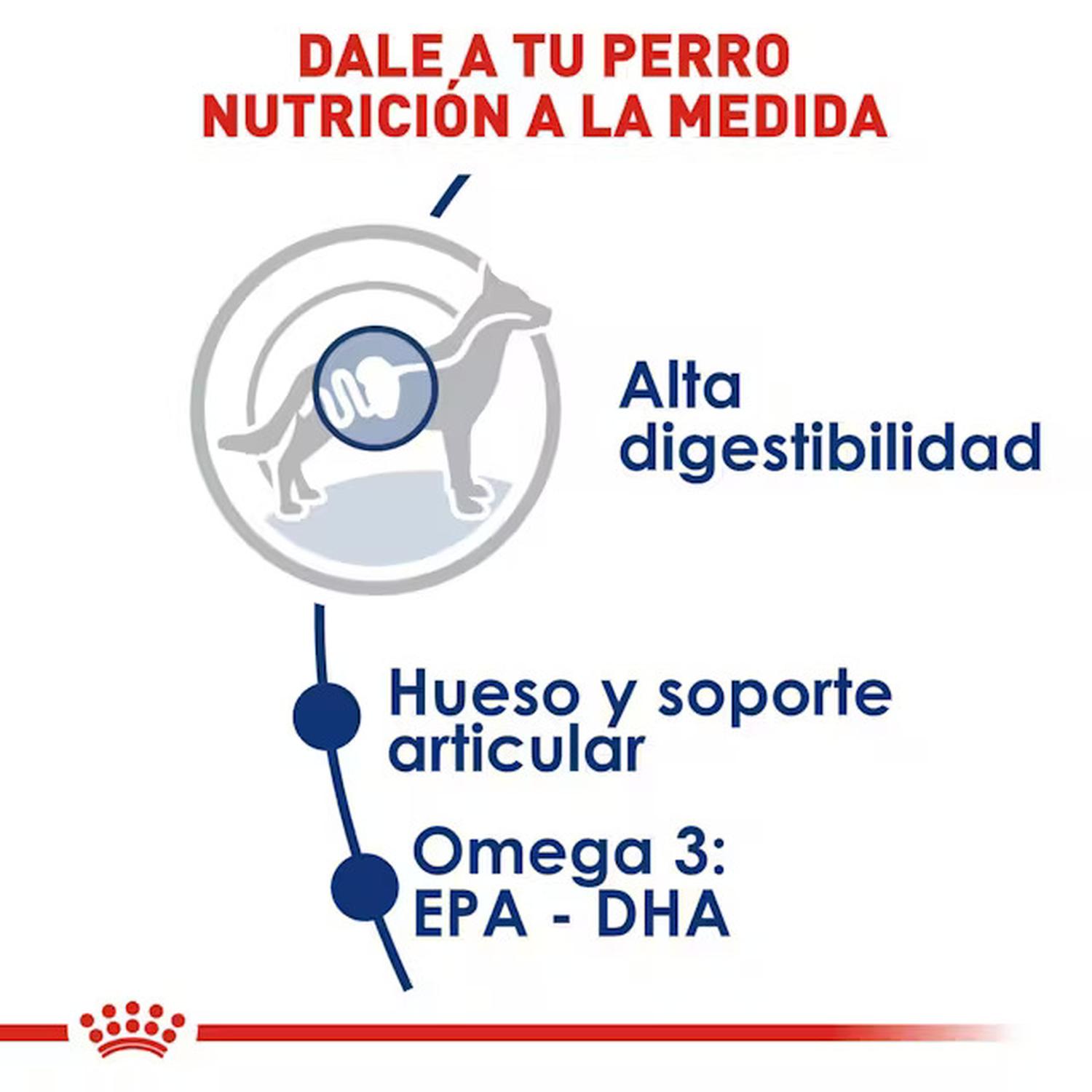 Royal Canin Alimento Size Health Perro Large Adult 13.61kg | G.Valkyria - imagen 6