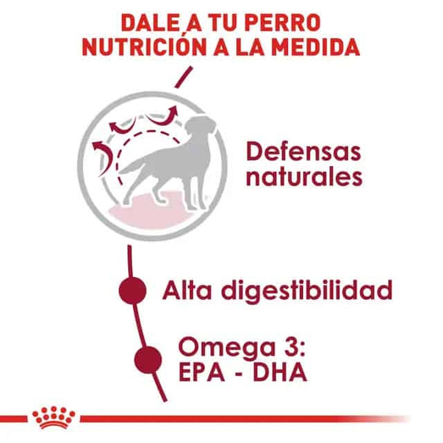 Royal Canin Alimento Size Health Perro Medium Adult 1.82kg | G.Valkyria - imagen 4