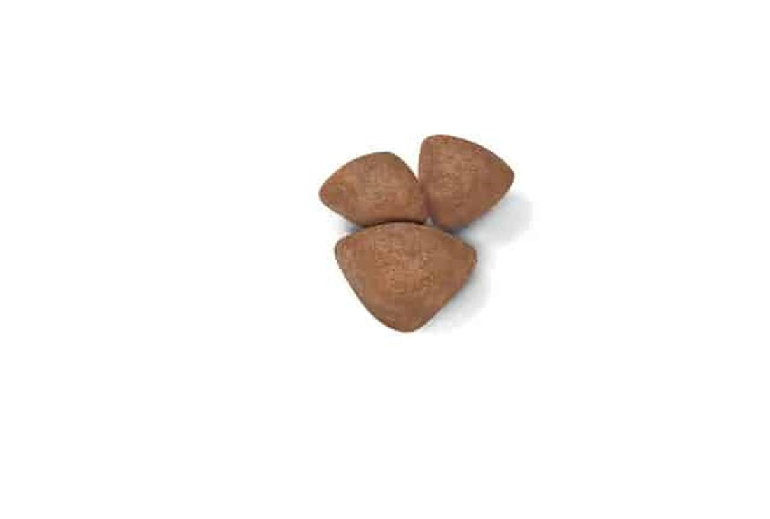 Royal Canin Alimento Small Starter Mother & Babydog 6.36kg | G.Valkyria - imagen 1