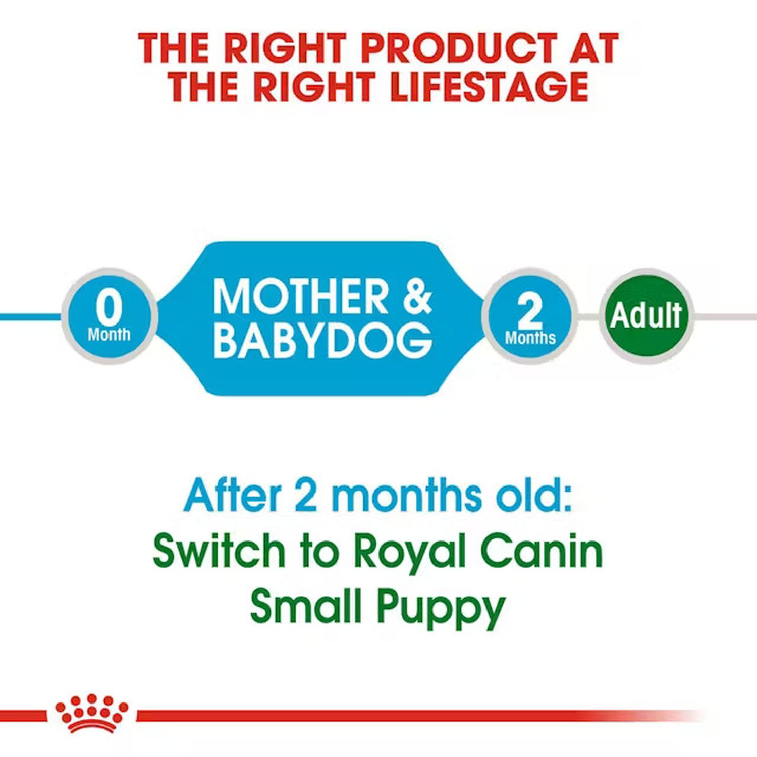 Royal Canin Alimento Small Starter Mother & Babydog 6.36kg | G.Valkyria - imagen 3