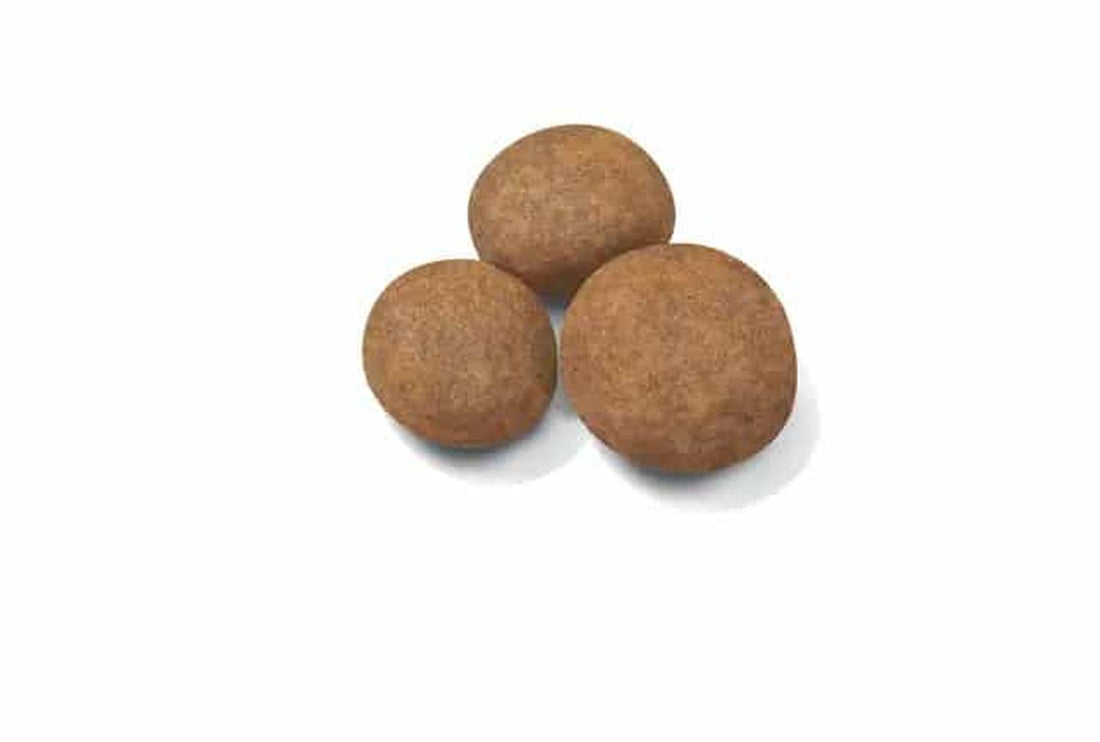 Royal Canin Alimento Start Cachorro Large Puppy 7.72kg | G.Valkyria - imagen 1