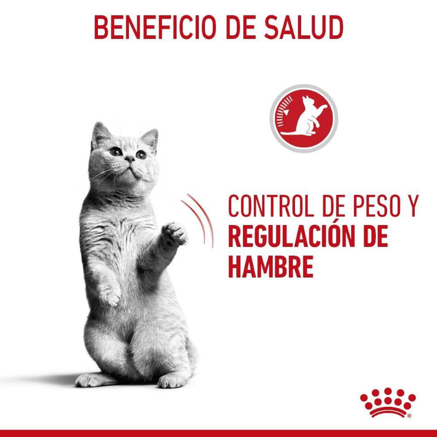 Royal Canin Apetite Ctrl Thin slices Steriliz Gato 85g 12pz | G.Valkyria - imagen 3