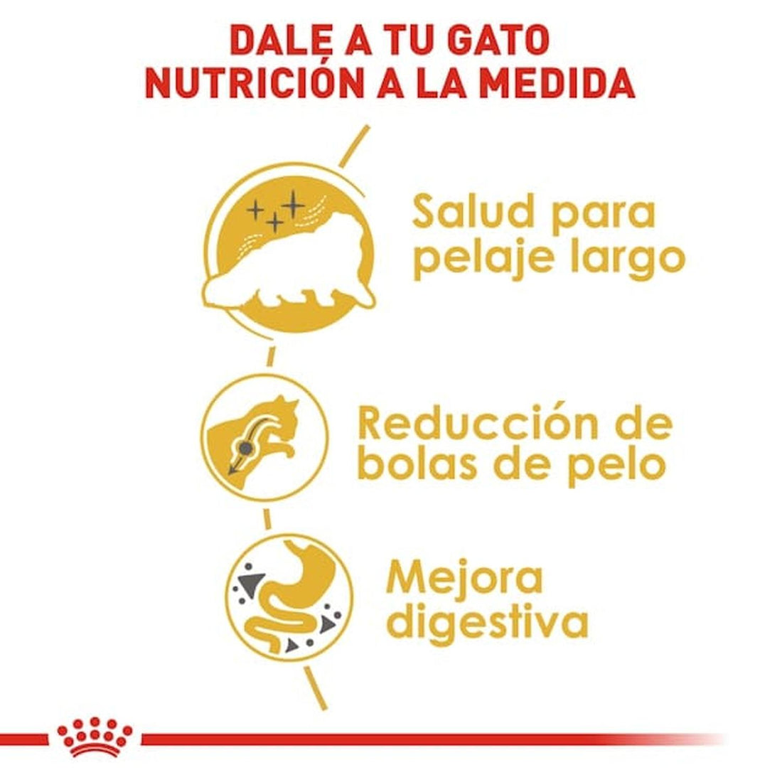 Royal Canin Breed alimento gato Persian 3.1kg | G.Valkyria - imagen 1