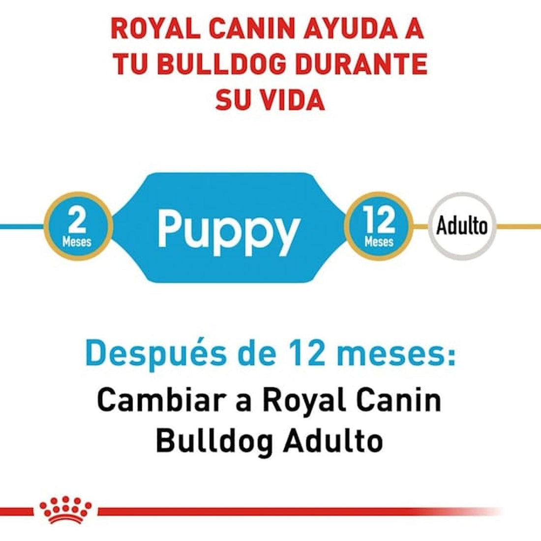 Royal Canin Breed alimento perro Bulldog Puppy 13.61kg | G.Valkyria - imagen 1
