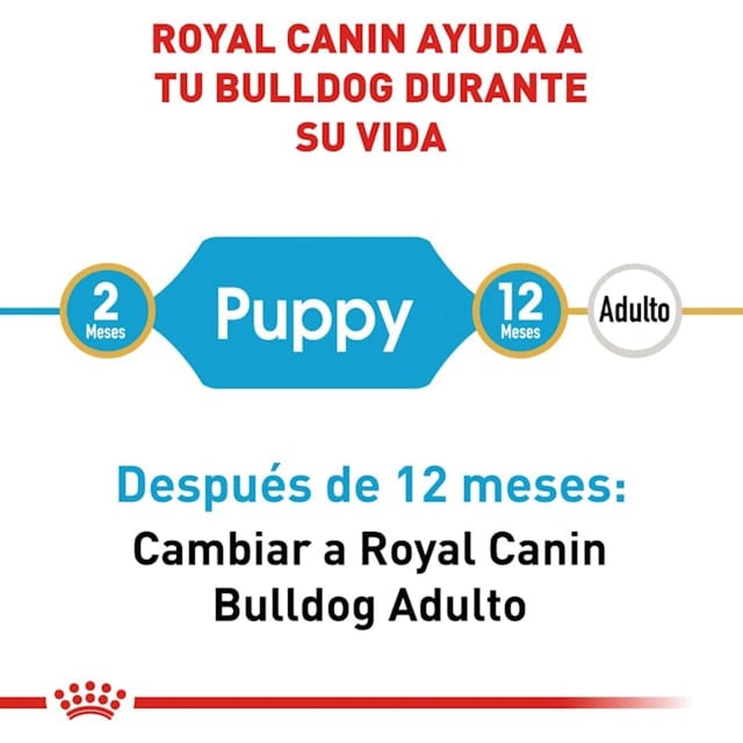 Royal Canin Breed alimento perro Bulldog Puppy 13.61kg | G.Valkyria - imagen 2
