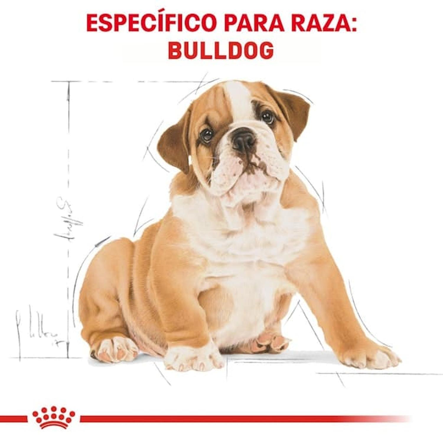 Royal Canin Breed alimento perro Bulldog Puppy 13.61kg | G.Valkyria - imagen 5