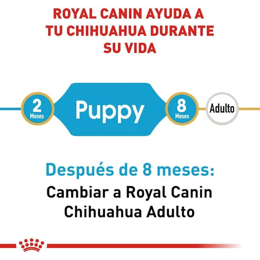 Royal Canin Breed alimento perro Chihuahua Puppy 1.1kg | G.Valkyria - imagen 1