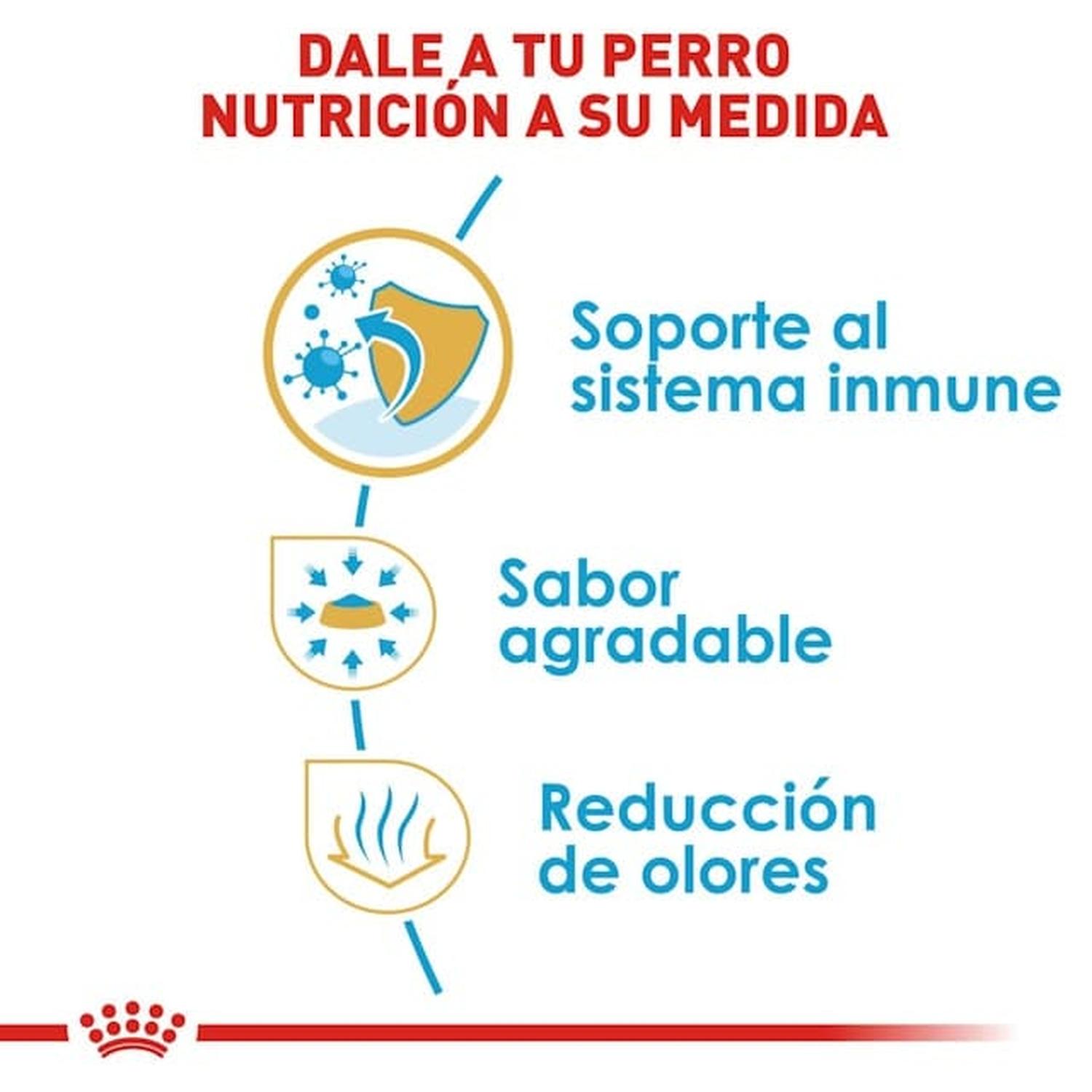 Royal Canin Breed alimento perro Chihuahua Puppy 1.1kg | G.Valkyria - imagen 4