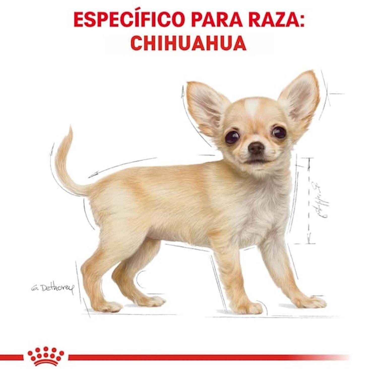 Royal Canin Breed alimento perro Chihuahua Puppy 1.1kg | G.Valkyria - imagen 5