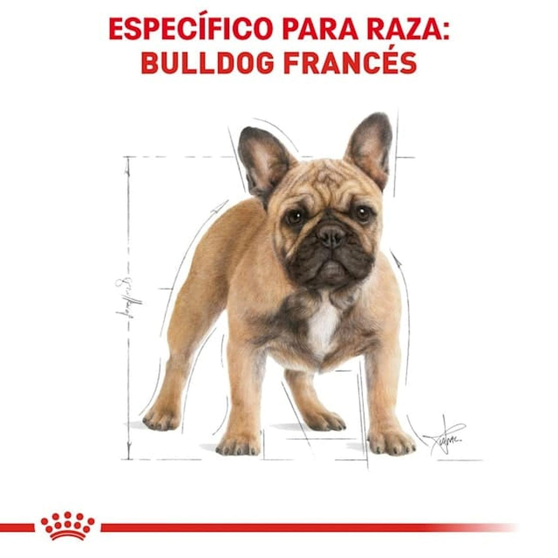 Royal Canin Breed alimento perro French Bulldog Adult 7.72kg | G.Valkyria - imagen 1