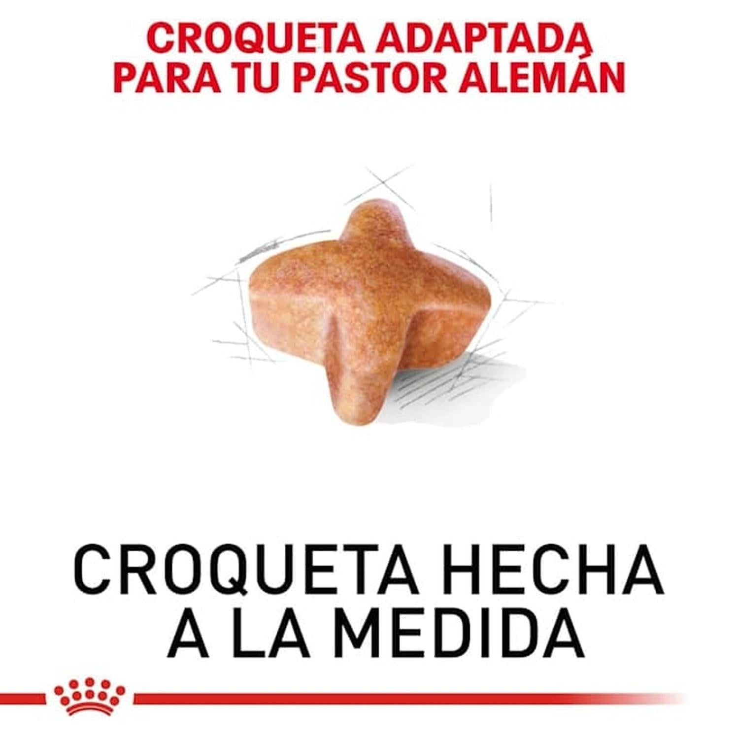 Royal Canin Breed alimento perro German Shepherd Adult 13.61kg | G.Valkyria - imagen 3