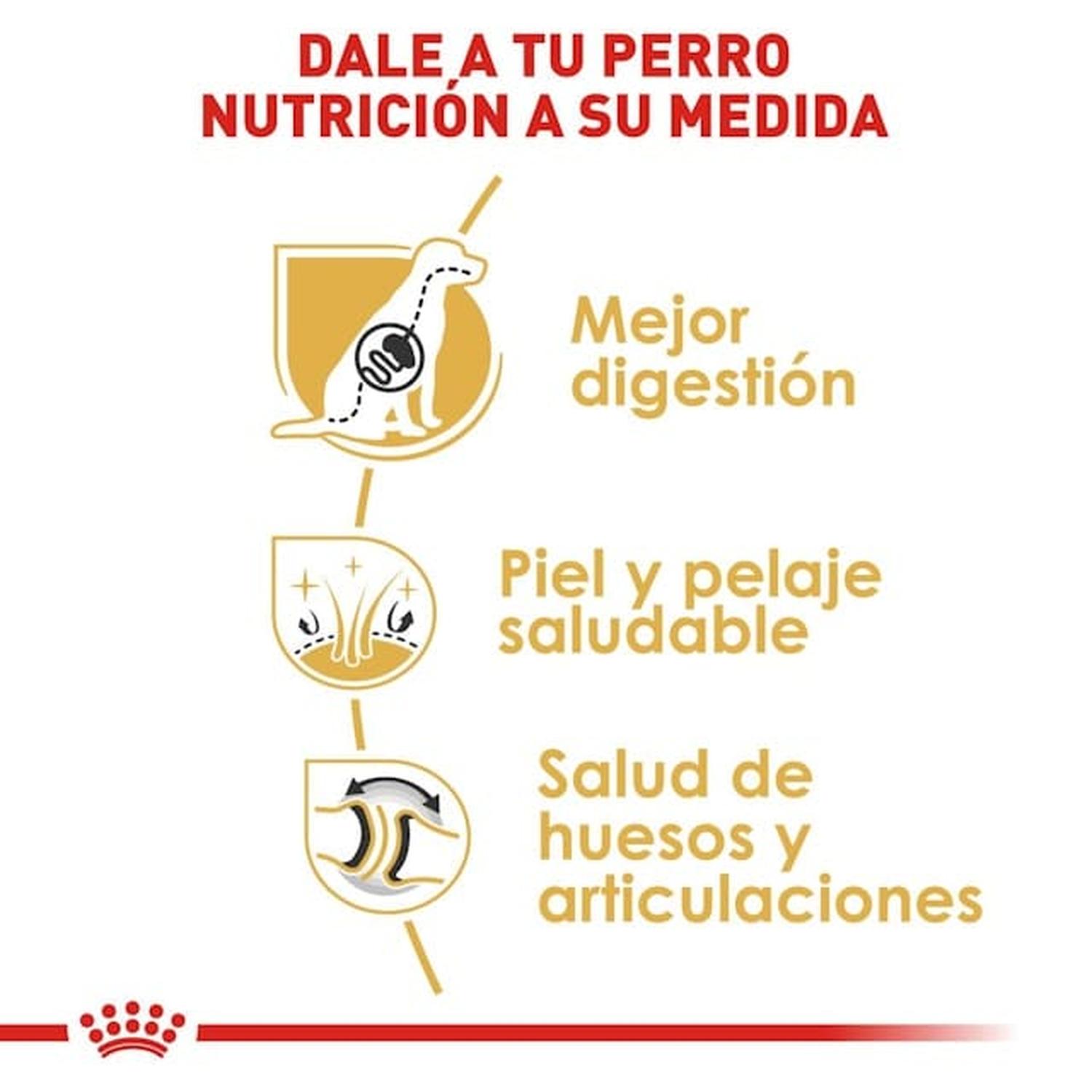 Royal Canin Breed alimento perro German Shepherd Adult 13.61kg | G.Valkyria - imagen 4