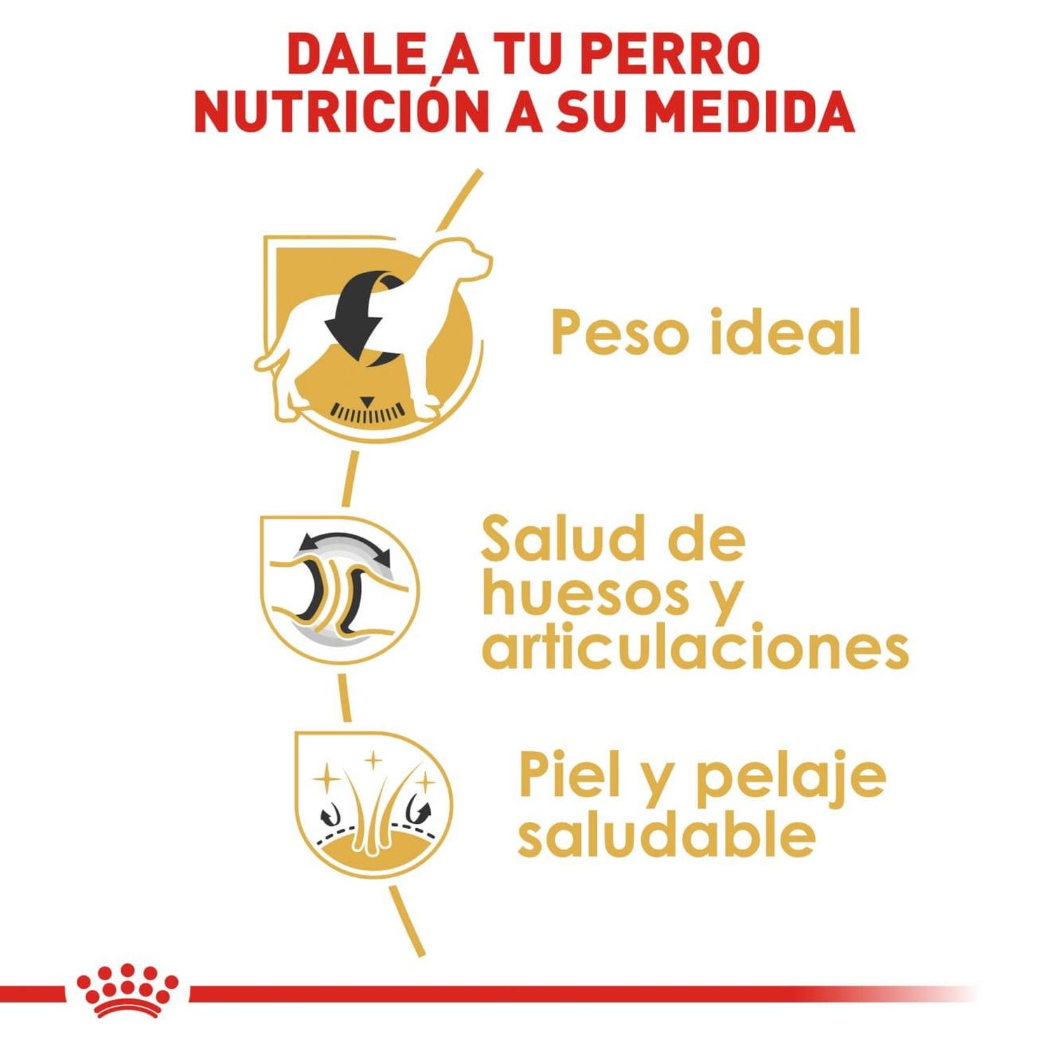 Royal Canin Breed alimento perro Labrador Retriever Adult 13.61kg | G.Valkyria - imagen 4