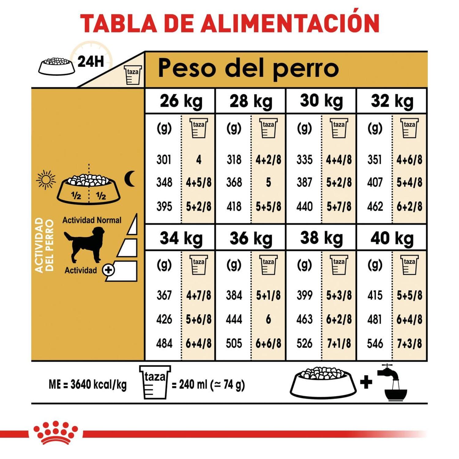 Royal Canin Breed alimento perro Labrador Retriever Adult 13.61kg | G.Valkyria - imagen 5