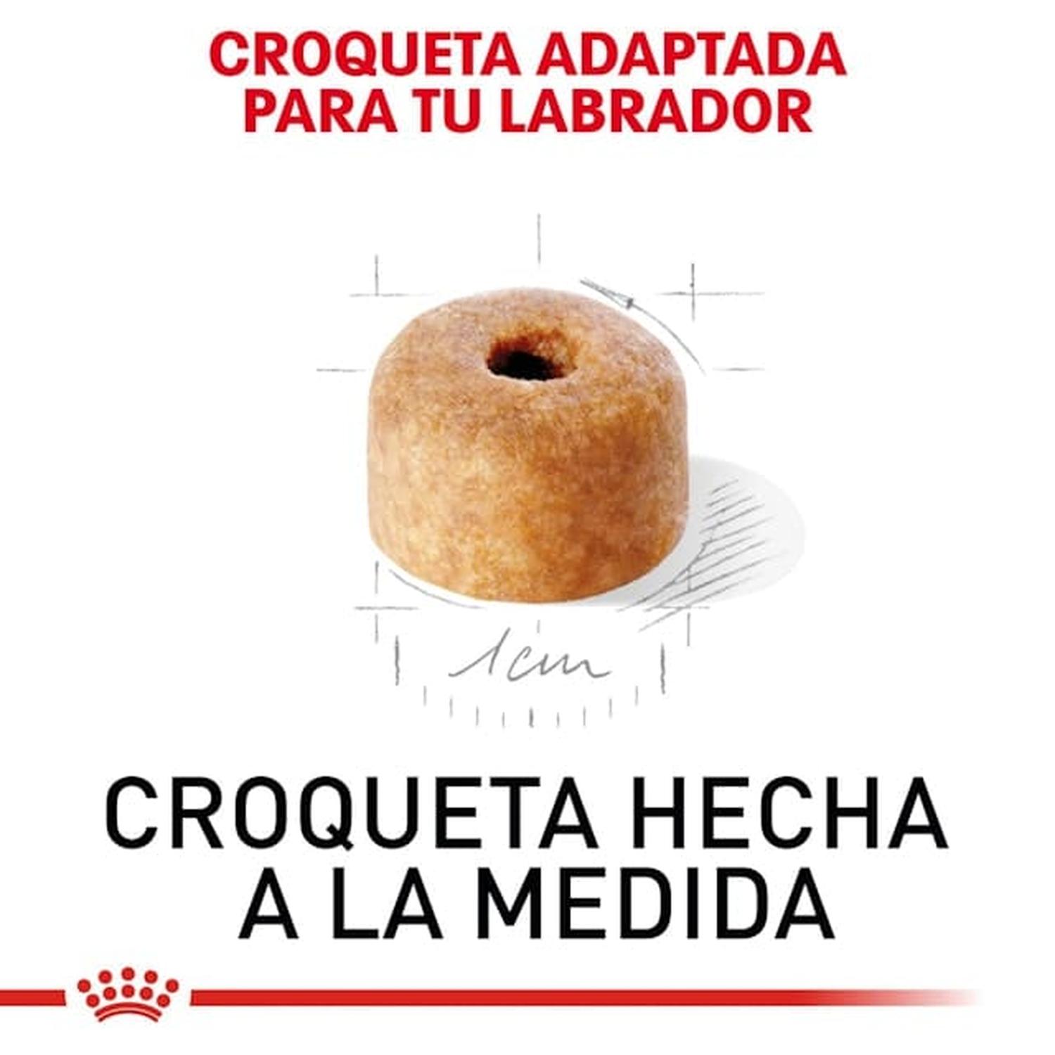 Royal Canin Breed alimento perro Labrador Retriever Puppy 13.61kg | G.Valkyria - imagen 3