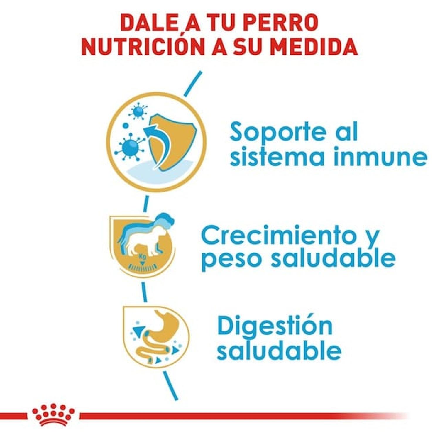Royal Canin Breed alimento perro Labrador Retriever Puppy 13.61kg | G.Valkyria - imagen 4