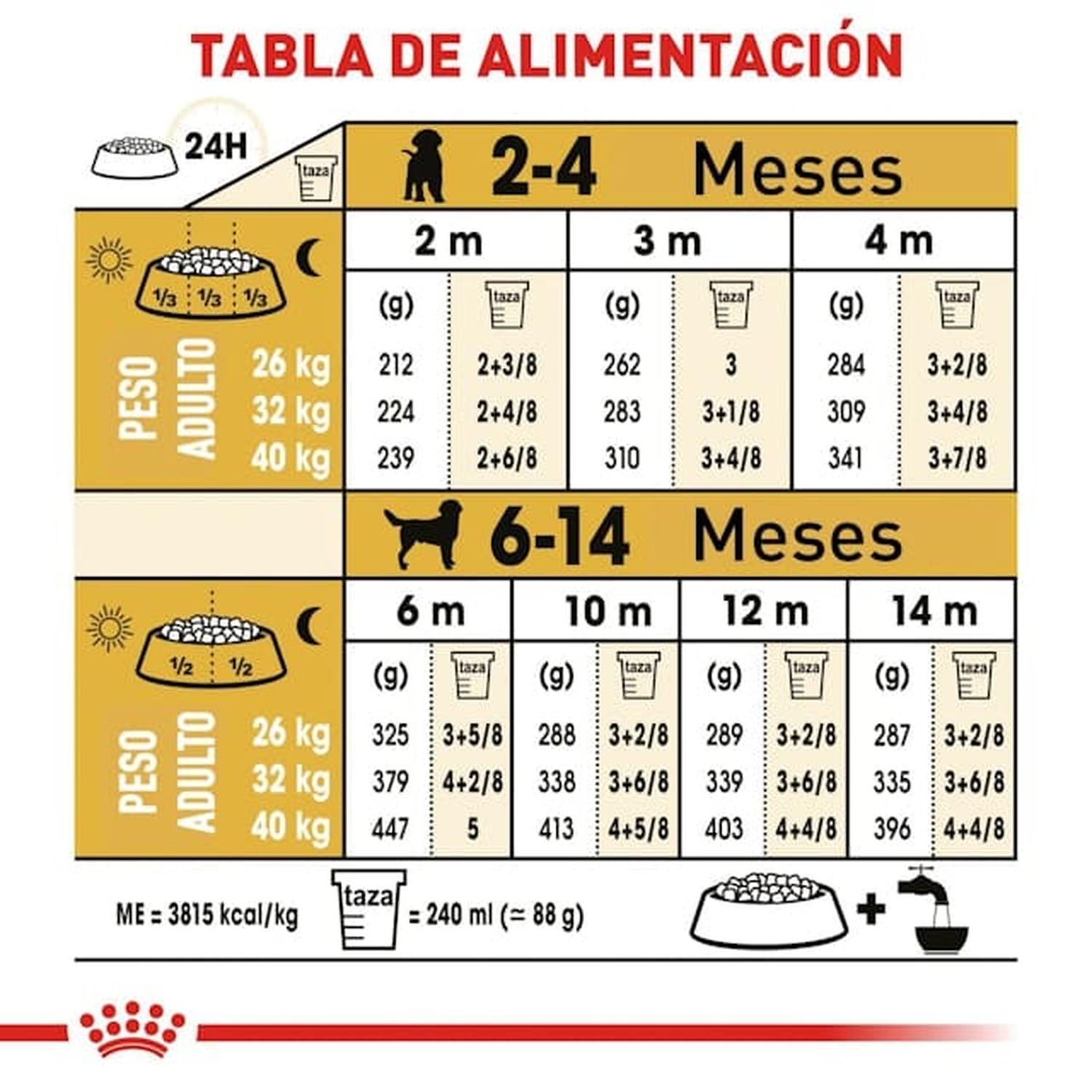 Royal Canin Breed alimento perro Labrador Retriever Puppy 13.61kg | G.Valkyria - imagen 6