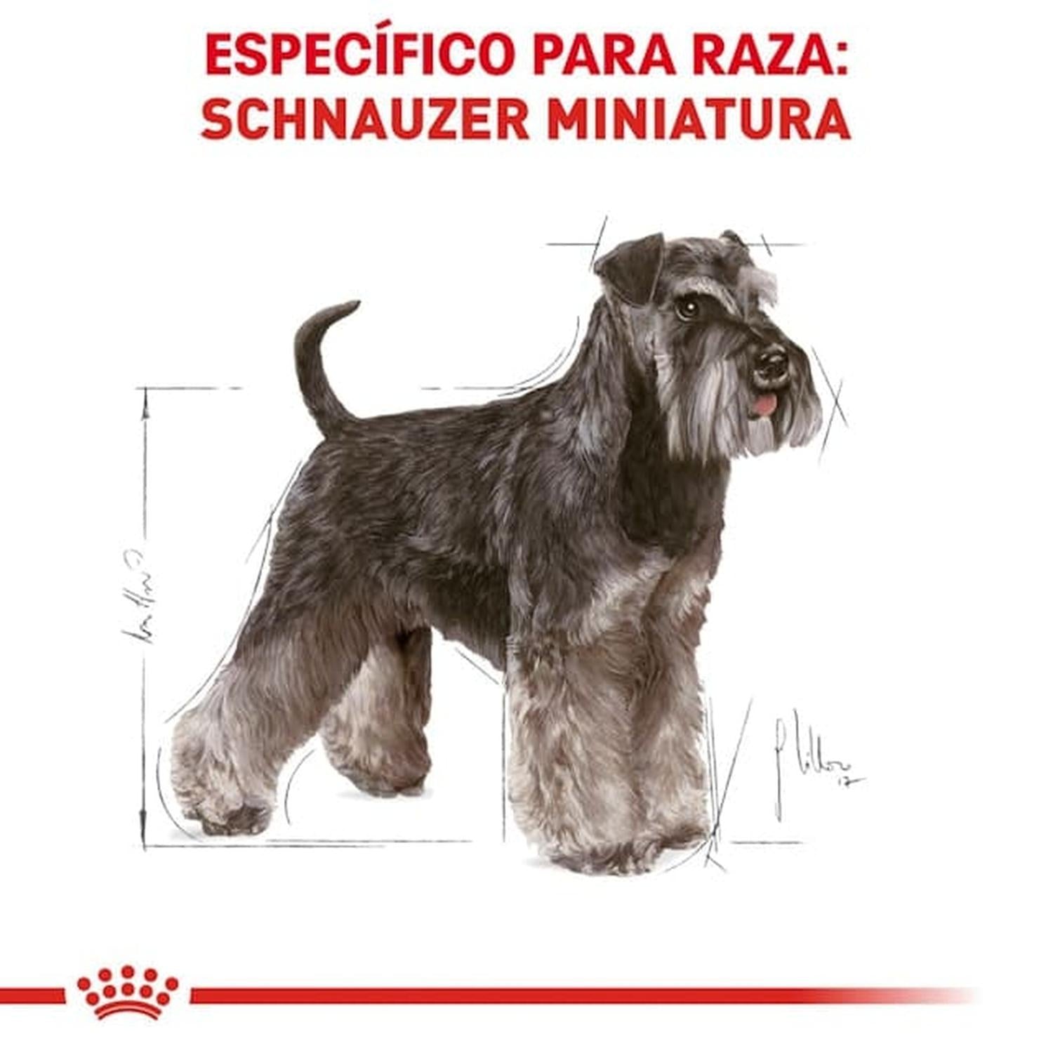 Royal Canin Breed alimento perro Mini Schnauzer Adult 4.5kg | G.Valkyria - imagen 2
