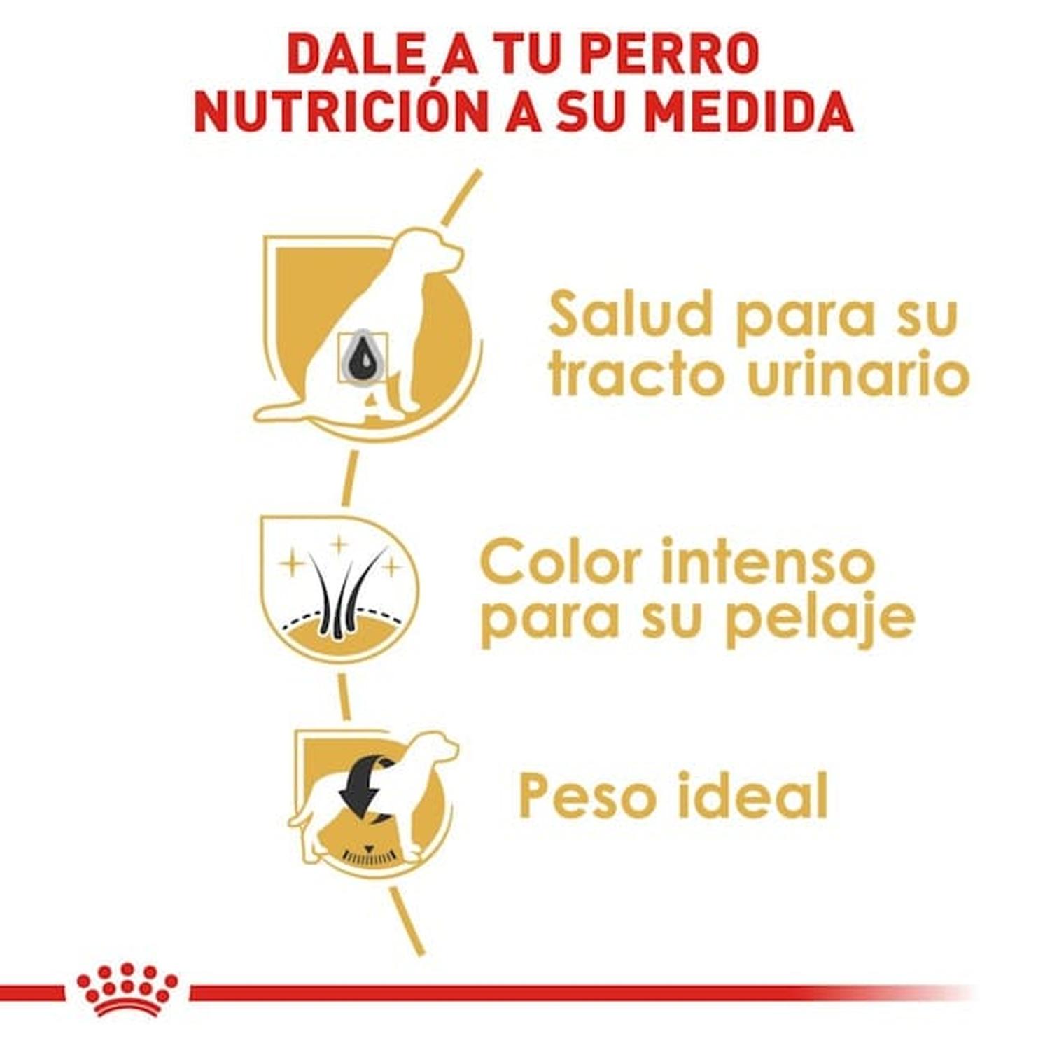 Royal Canin Breed alimento perro Mini Schnauzer Adult 4.5kg | G.Valkyria - imagen 4
