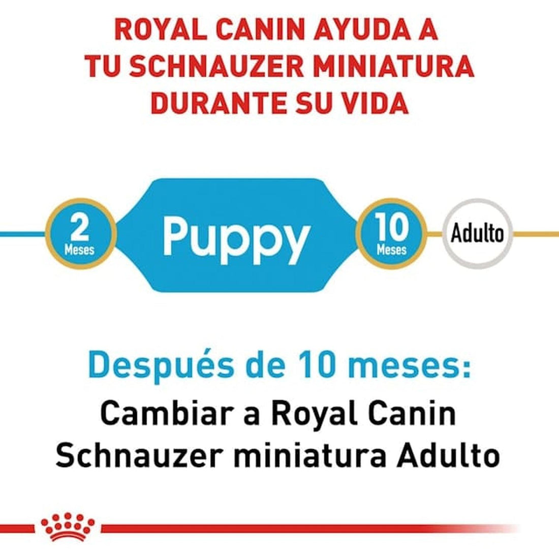 Royal Canin Breed alimento perro Mini Schnauzer Puppy 1.1kg | G.Valkyria - imagen 1