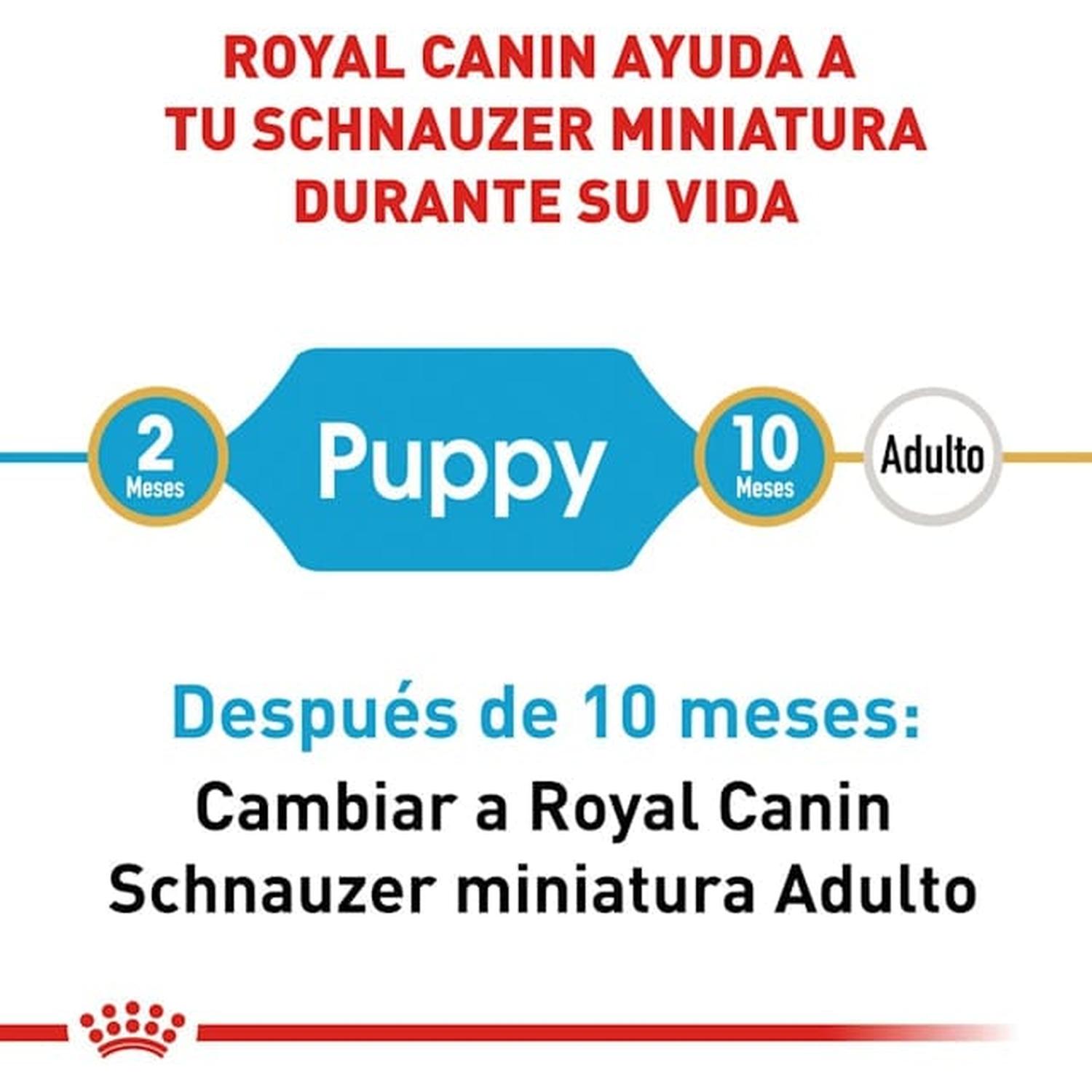 Royal Canin Breed alimento perro Mini Schnauzer Puppy 1.1kg | G.Valkyria - imagen 2