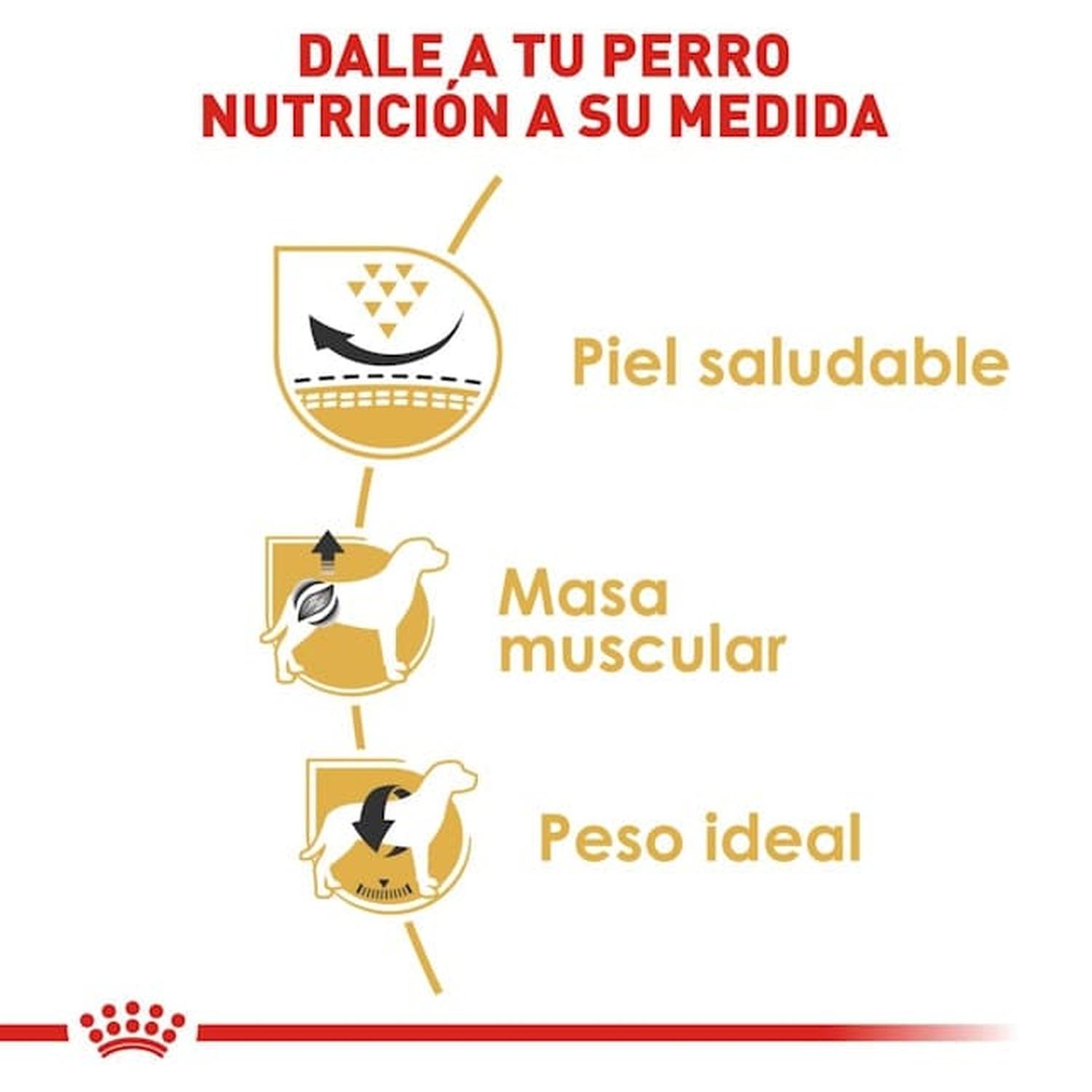 Royal Canin Breed alimento perro Pug Adult 4.5kg | G.Valkyria - imagen 4