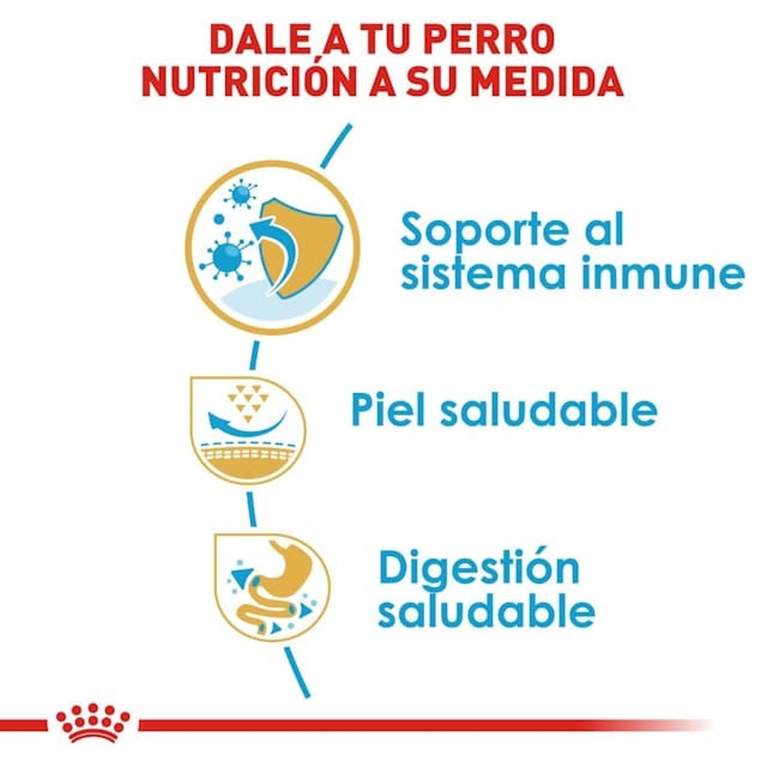 Royal Canin Breed alimento perro Pug Puppy 1.1kg | G.Valkyria - imagen 4