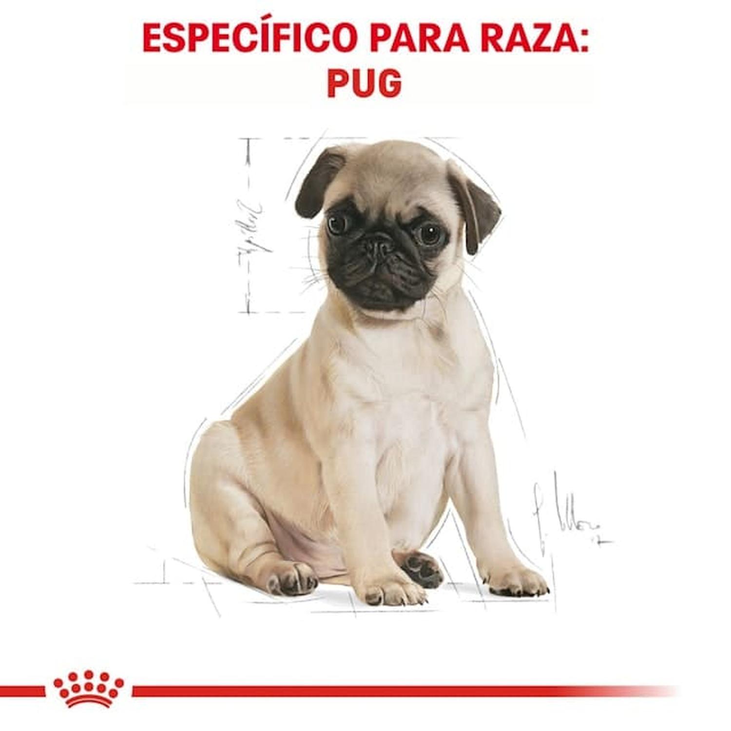 Royal Canin Breed alimento perro Pug Puppy 1.1kg | G.Valkyria - imagen 5