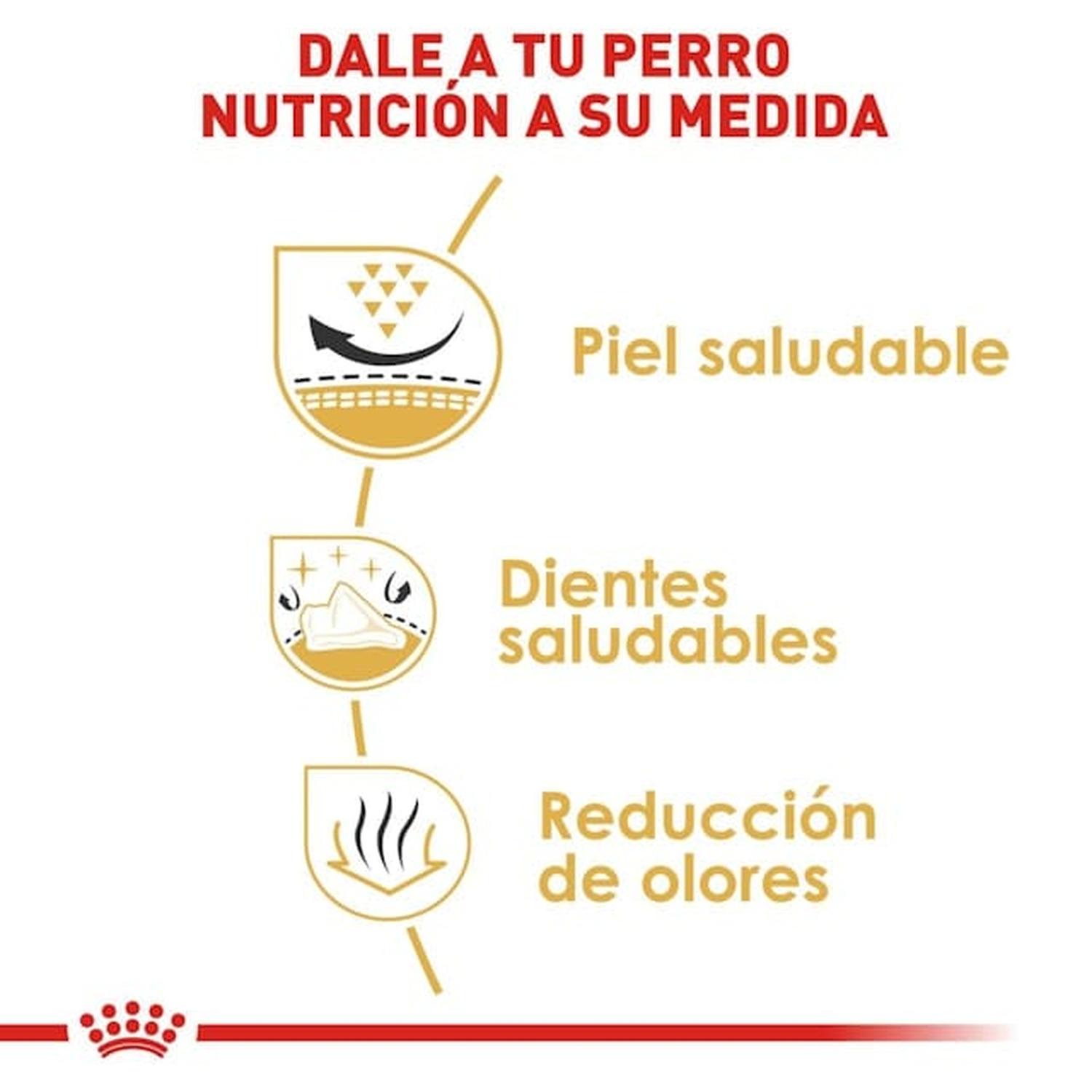 Royal Canin Breed alimento perro Shih-Tzu Adult 4.5kg | G.Valkyria - imagen 4