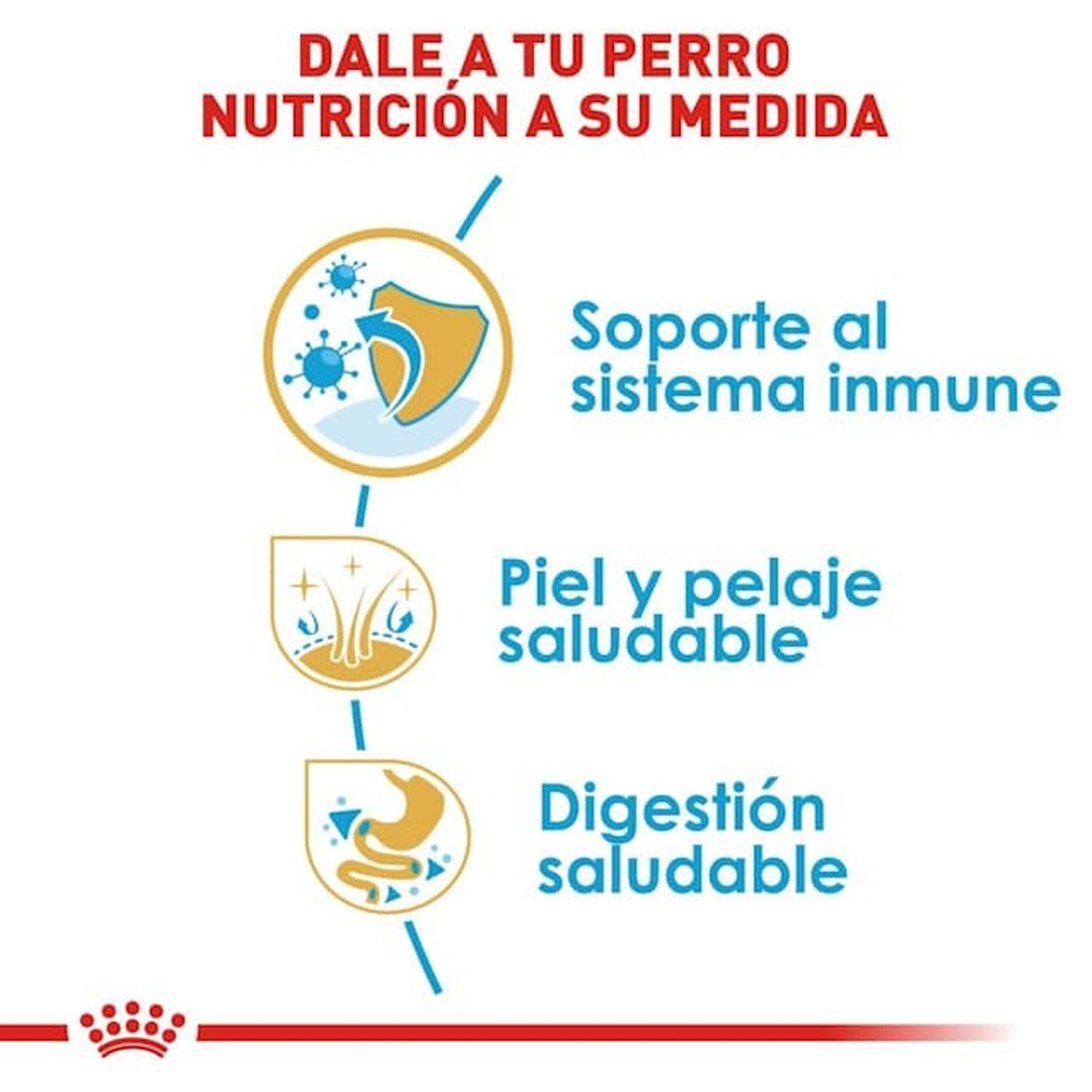 Royal Canin Breed alimento perro Shih-Tzu Puppy 1.1kg | G.Valkyria - imagen 4