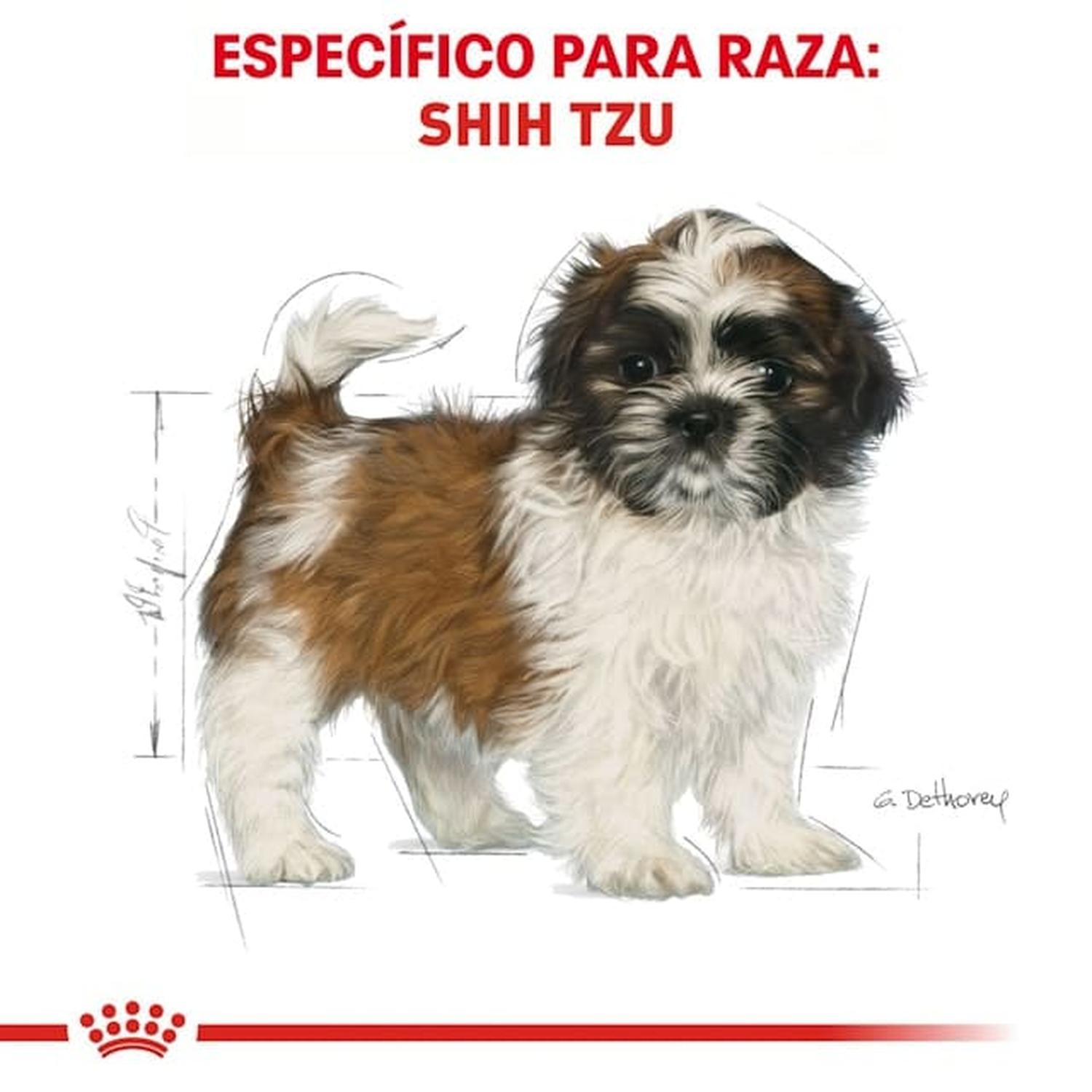Royal Canin Breed alimento perro Shih-Tzu Puppy 1.1kg | G.Valkyria - imagen 5