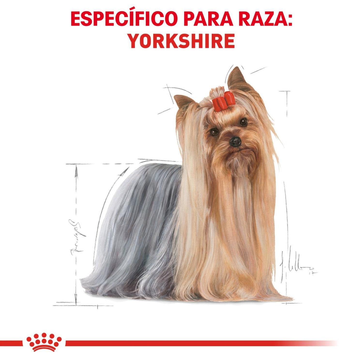 Royal Canin Breed alimento perro Yorkshire Adult 1.1kg | G.Valkyria - imagen 2
