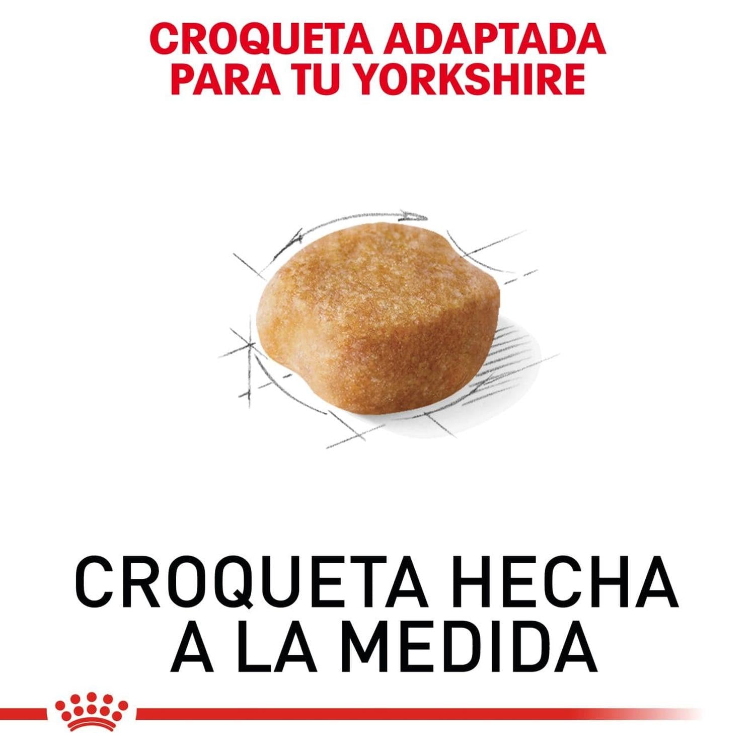 Royal Canin Breed alimento perro Yorkshire Adult 1.1kg | G.Valkyria - imagen 3