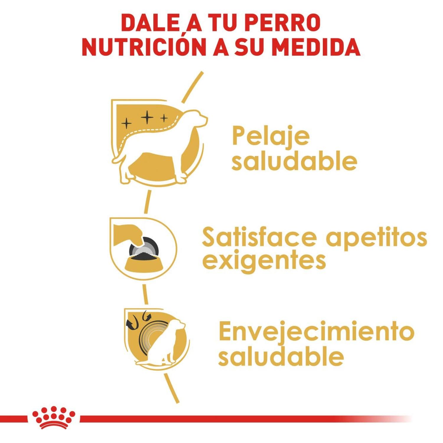 Royal Canin Breed alimento perro Yorkshire Adult 1.1kg | G.Valkyria - imagen 4